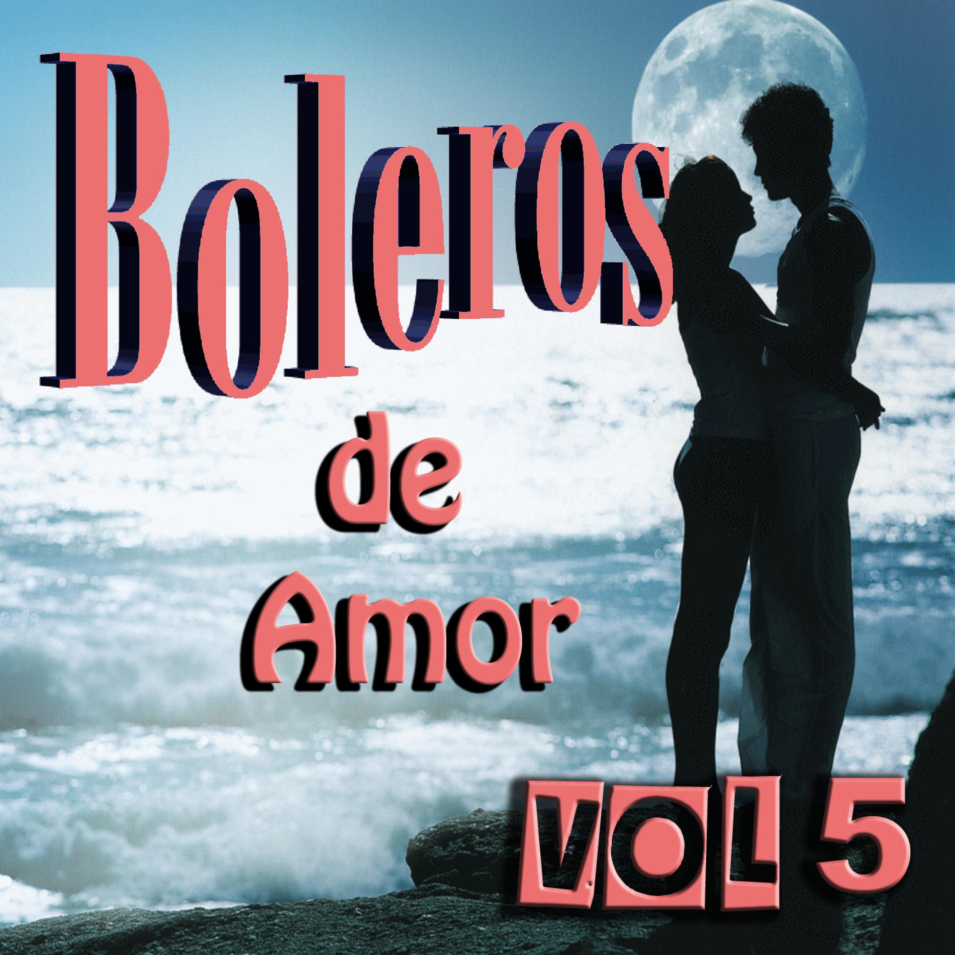 Постер альбома Boleros de Amor Vol 5