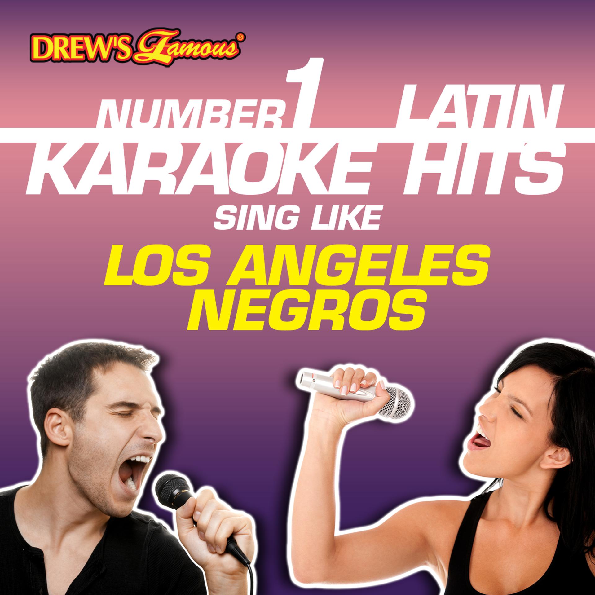Постер альбома Drew's Famous #1 Latin Karaoke Hits: Sing like Los Angeles Negros