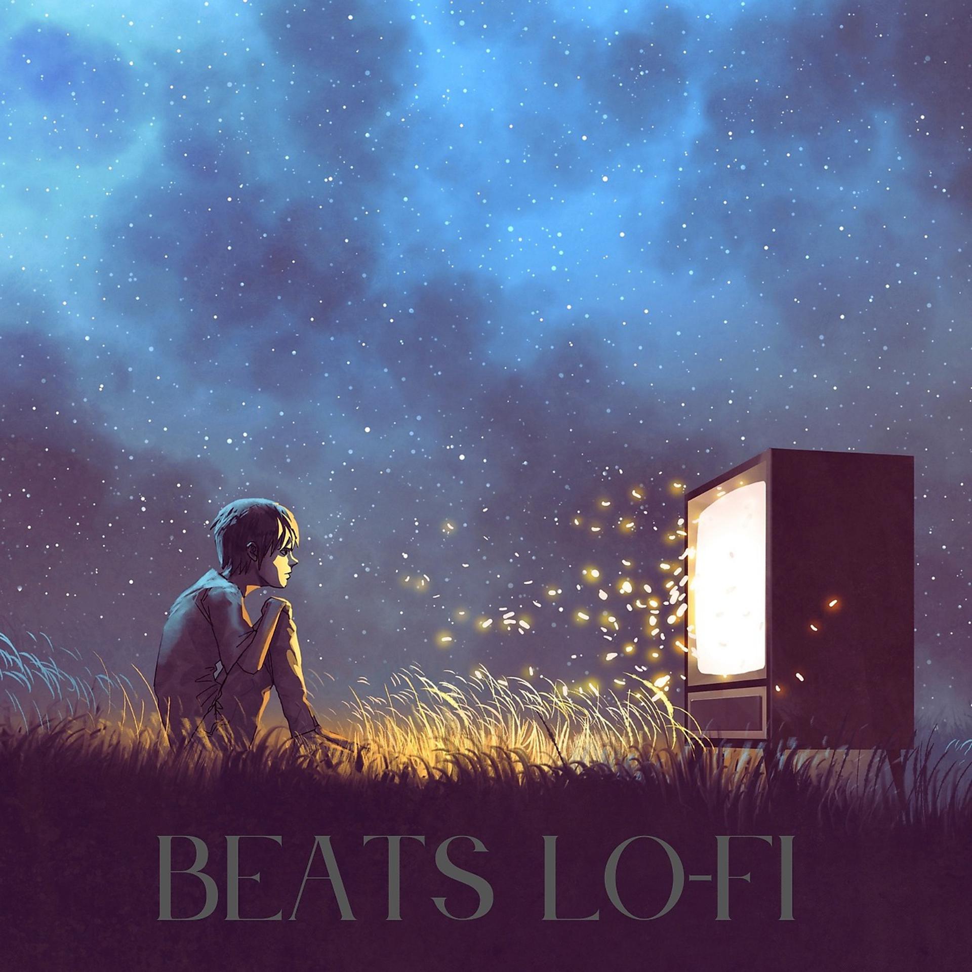 Постер альбома Beats Lo-FI