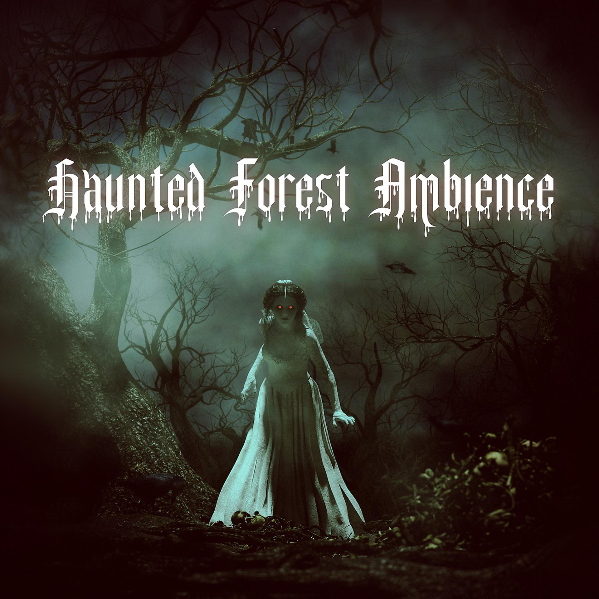 Постер альбома Haunted Forest Ambience