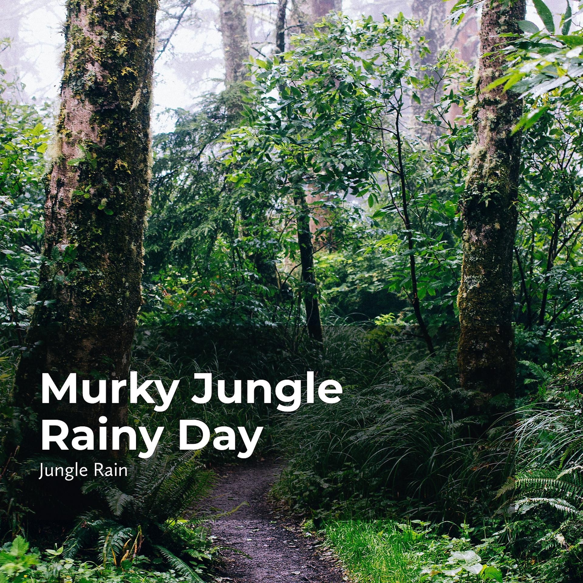 Постер альбома Murky Jungle Rainy Day