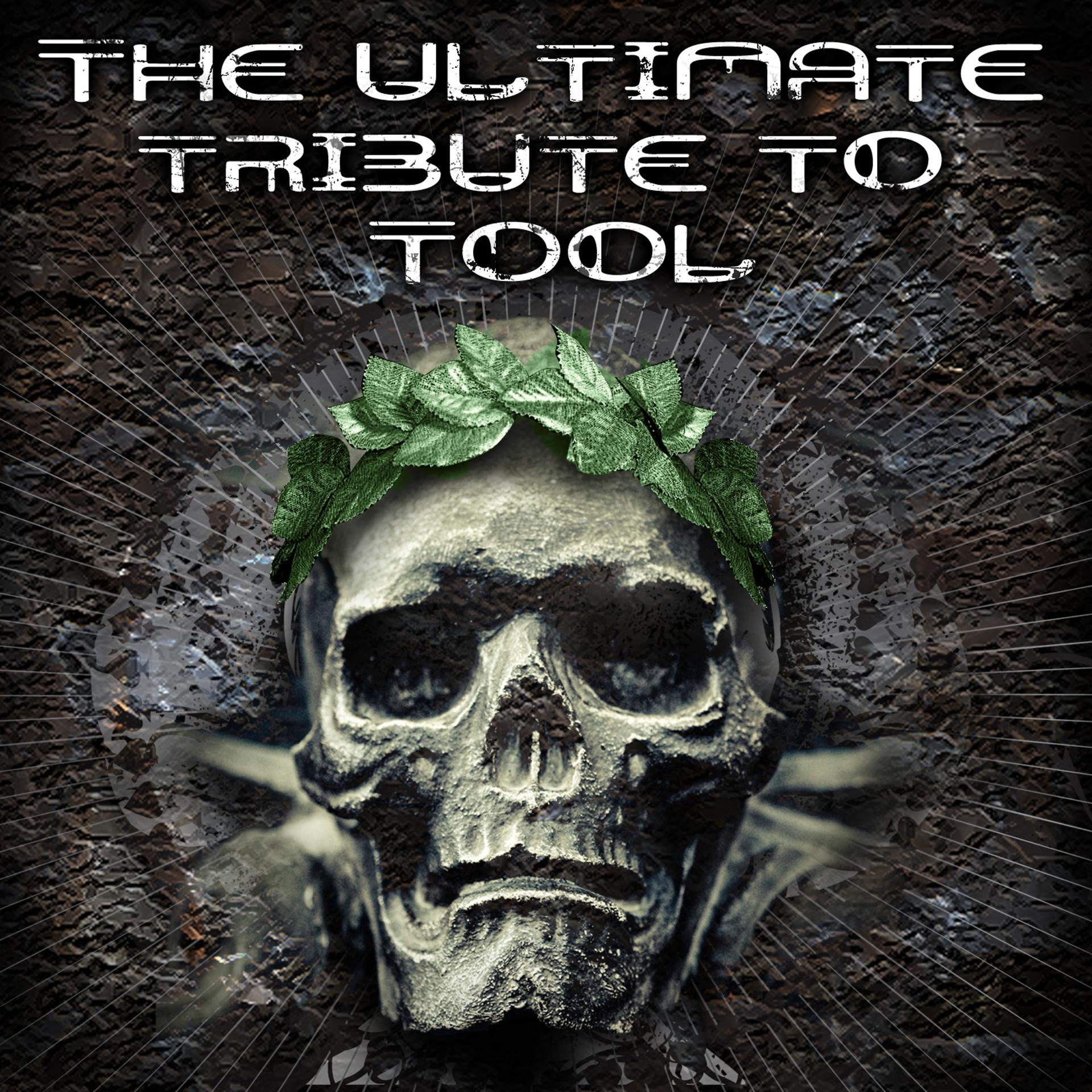 Постер альбома The Ultimate Tribute To Tool