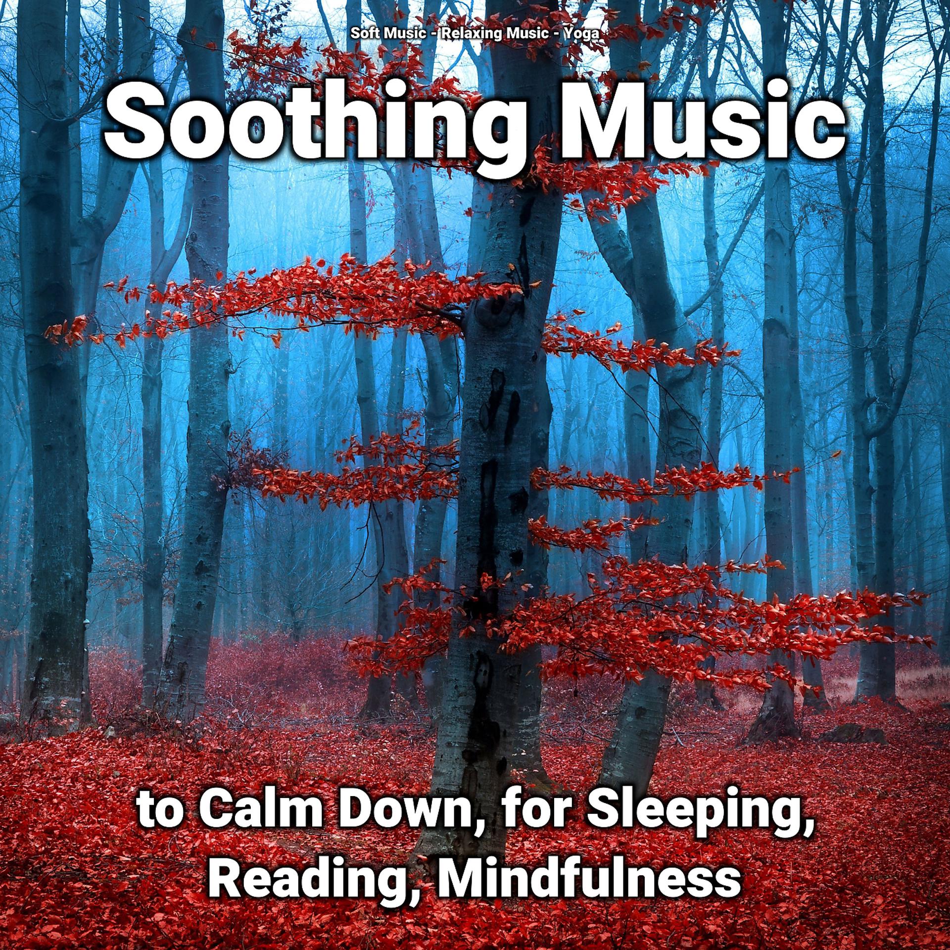 Постер альбома Soothing Music to Calm Down, for Sleeping, Reading, Mindfulness