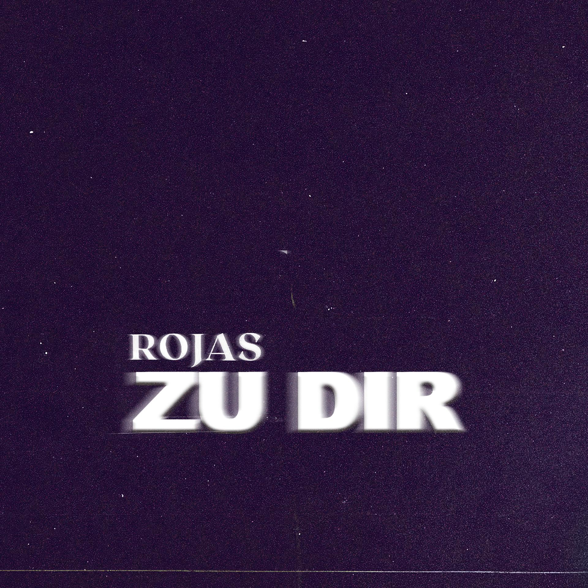 Постер альбома Zu dir