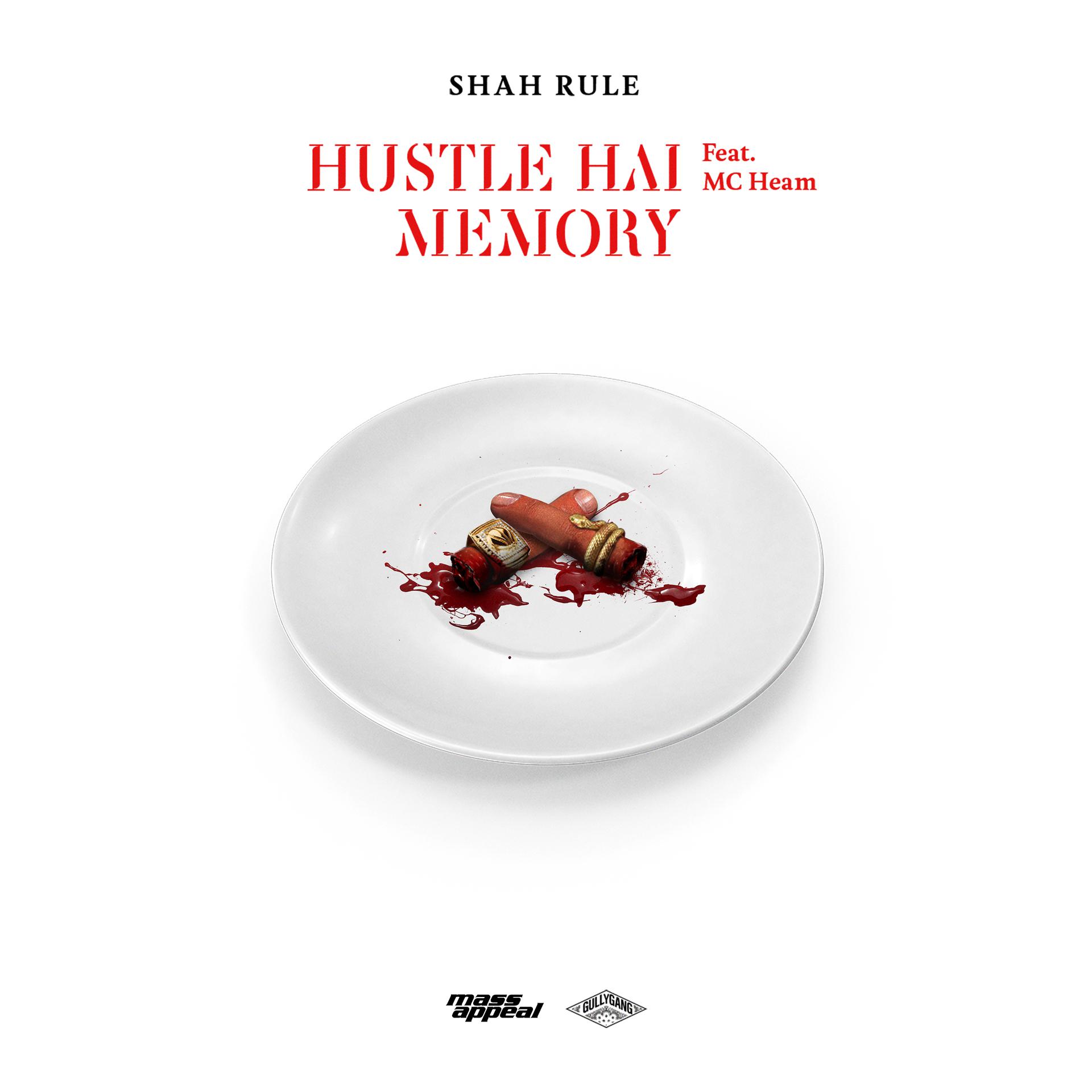 Постер альбома Hustle Hai / Memory