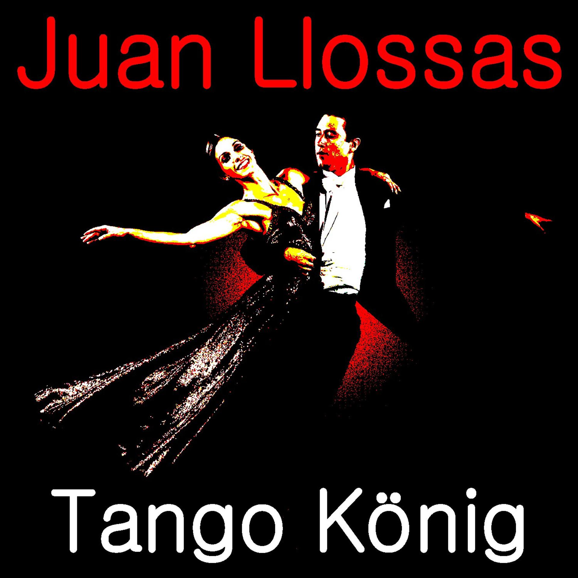Постер альбома Tango König