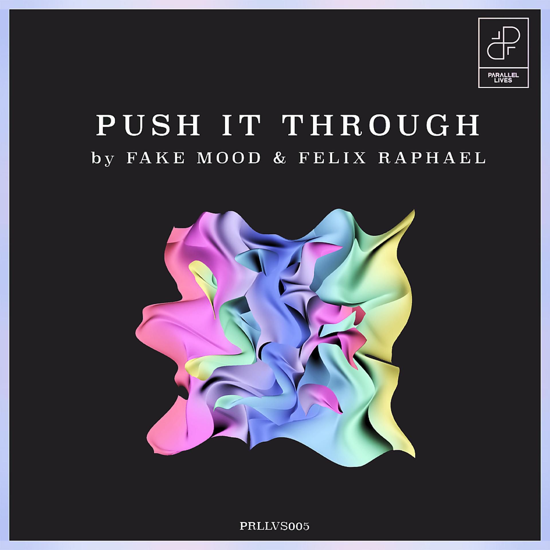 Постер альбома Push it through