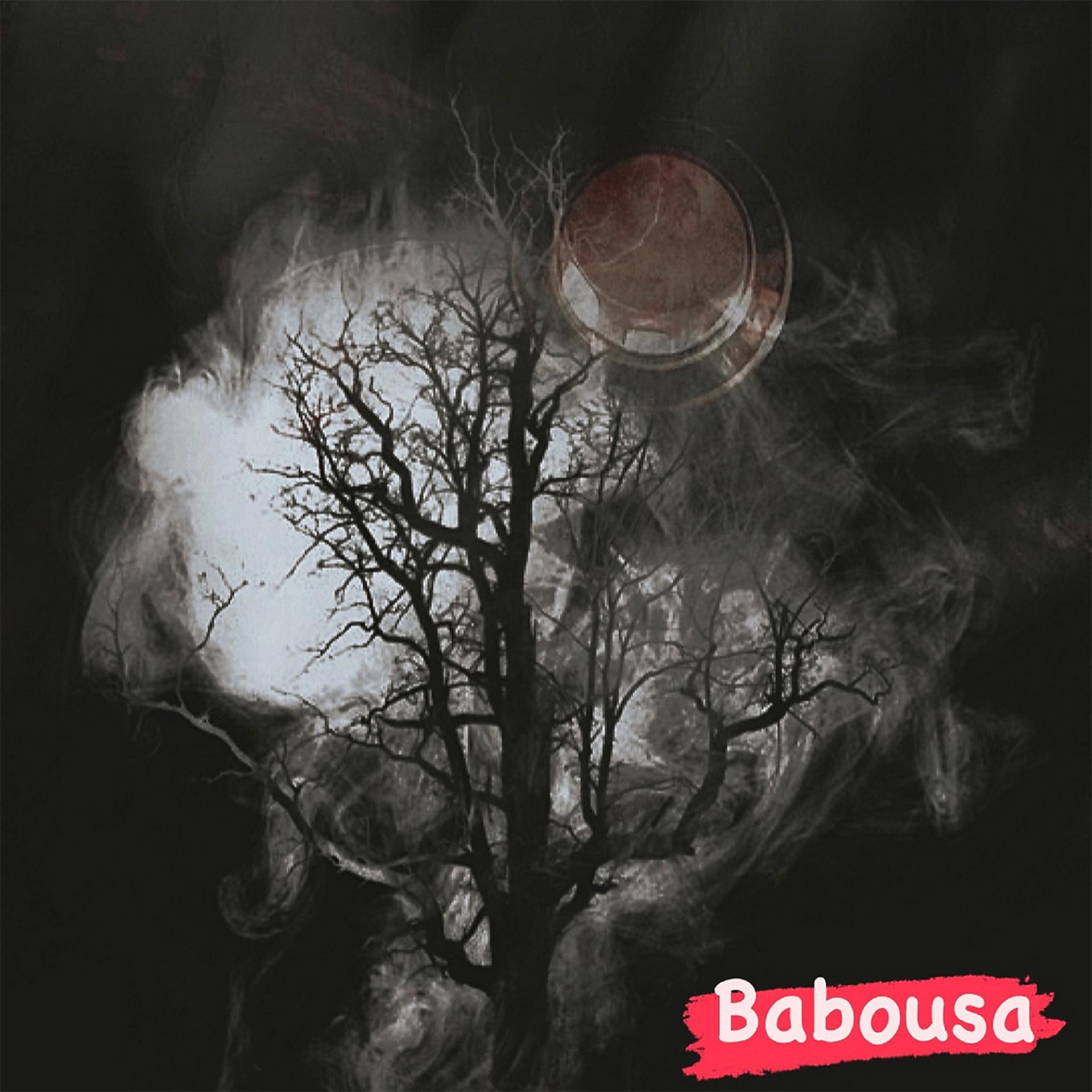 Постер альбома Babousa