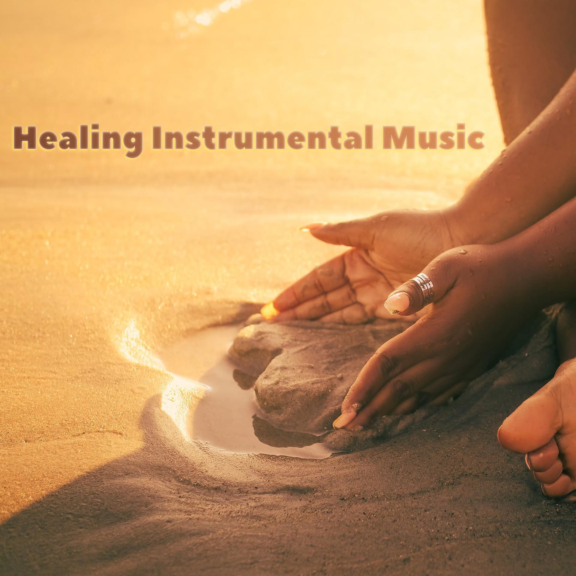 Постер альбома Healing Instrumental Music
