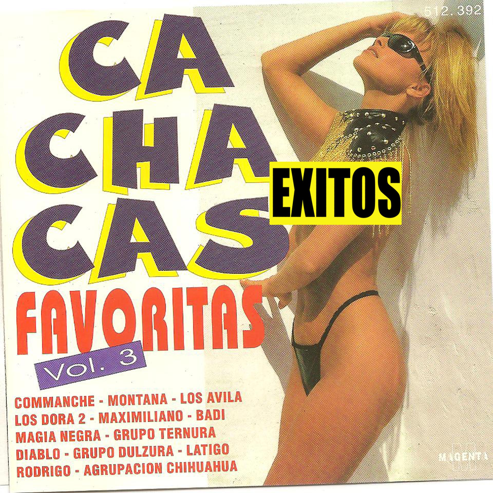 Постер альбома Cachacas favoritas Vol 3