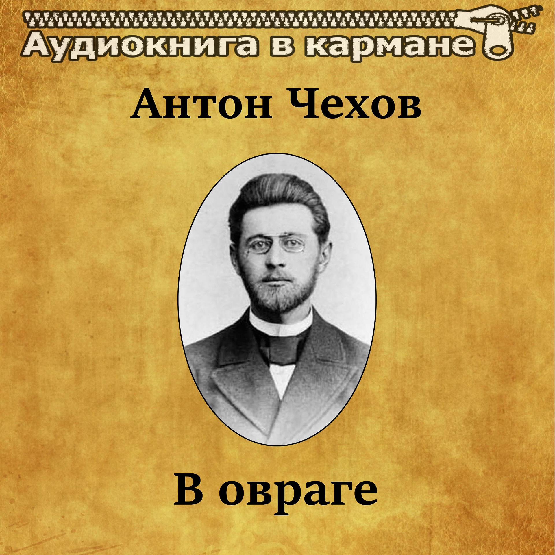 Постер альбома Антон Чехов - В овраге