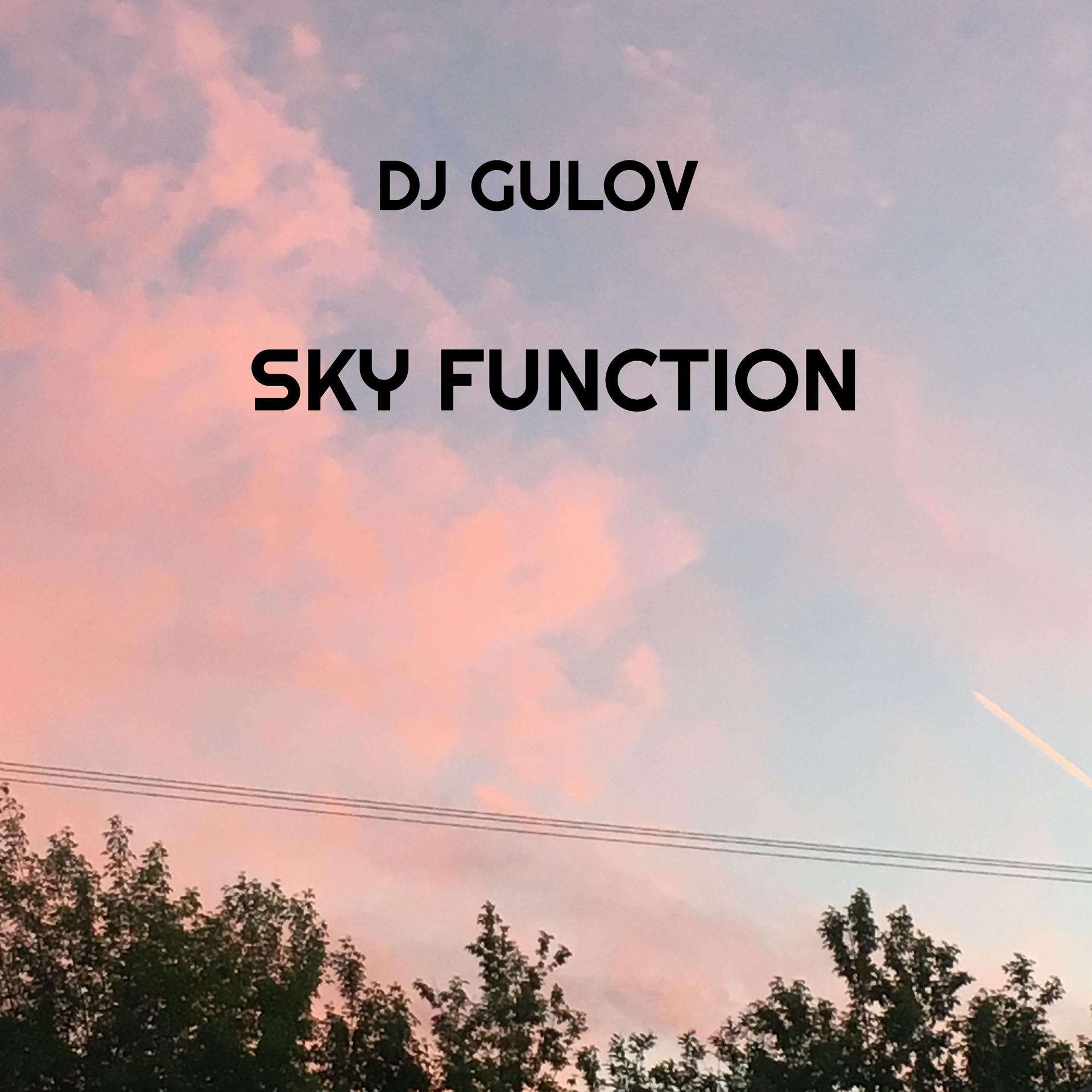 Постер альбома Sky Function