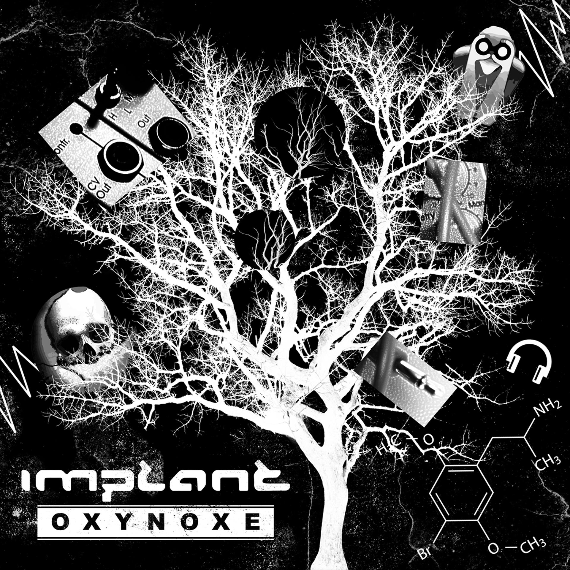 Постер альбома Oxynoxe