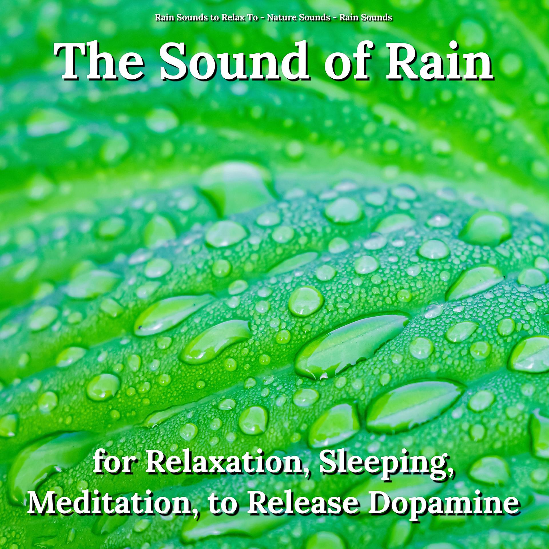 Постер альбома The Sound of Rain for Relaxation, Sleeping, Meditation, to Release Dopamine