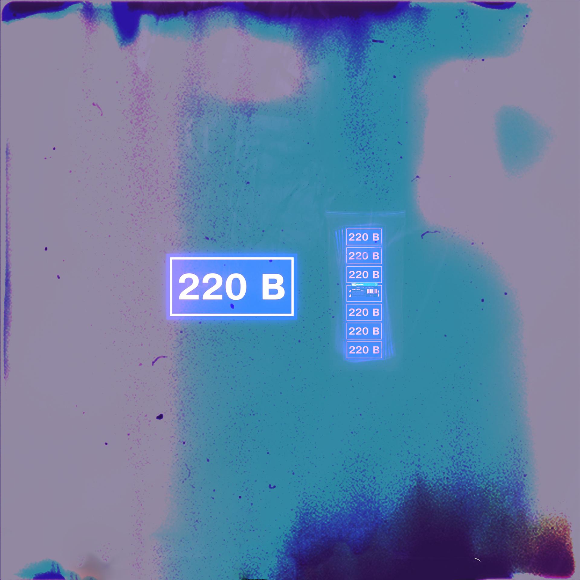 Постер альбома 220
