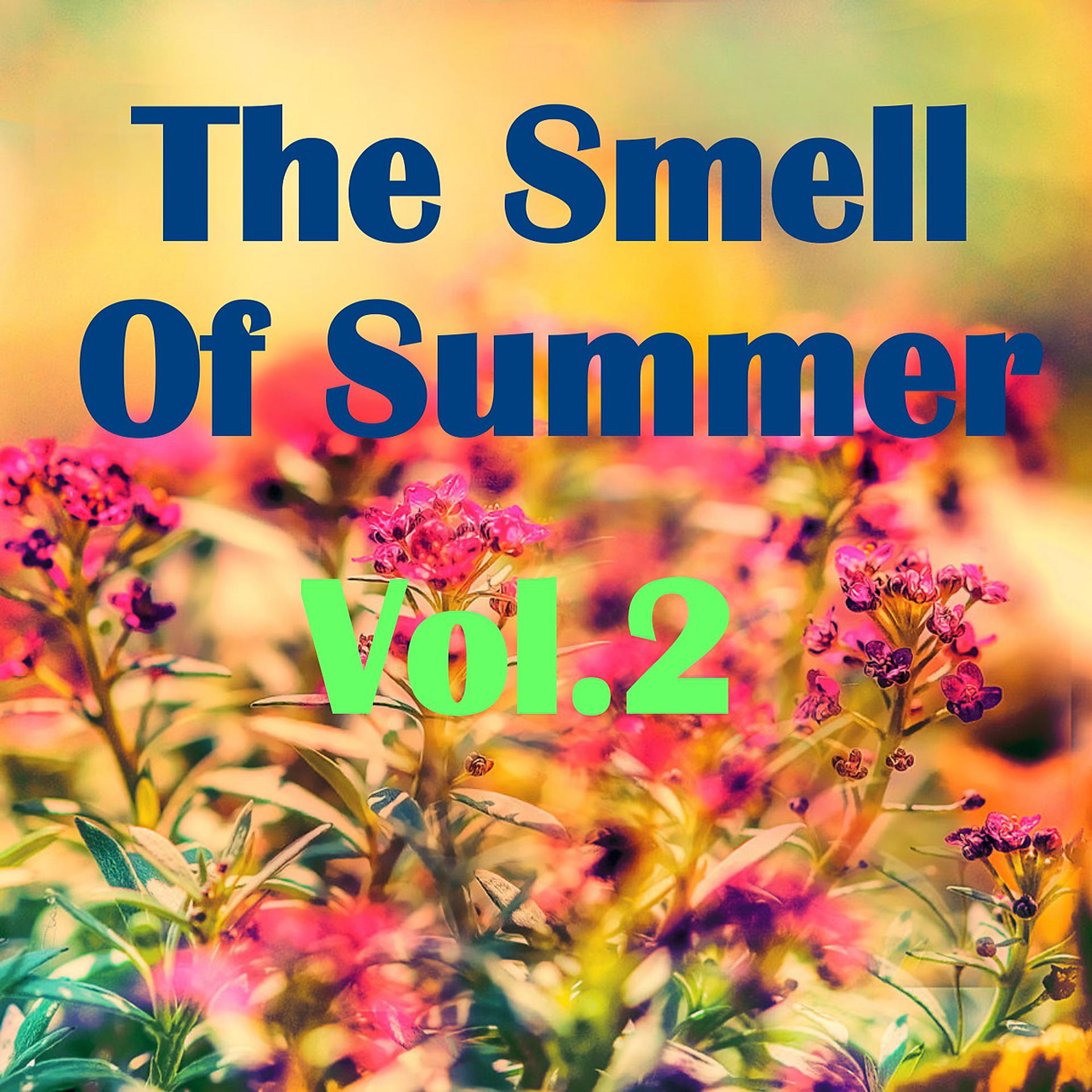 Постер альбома The Smell Of Summer, Vol.2