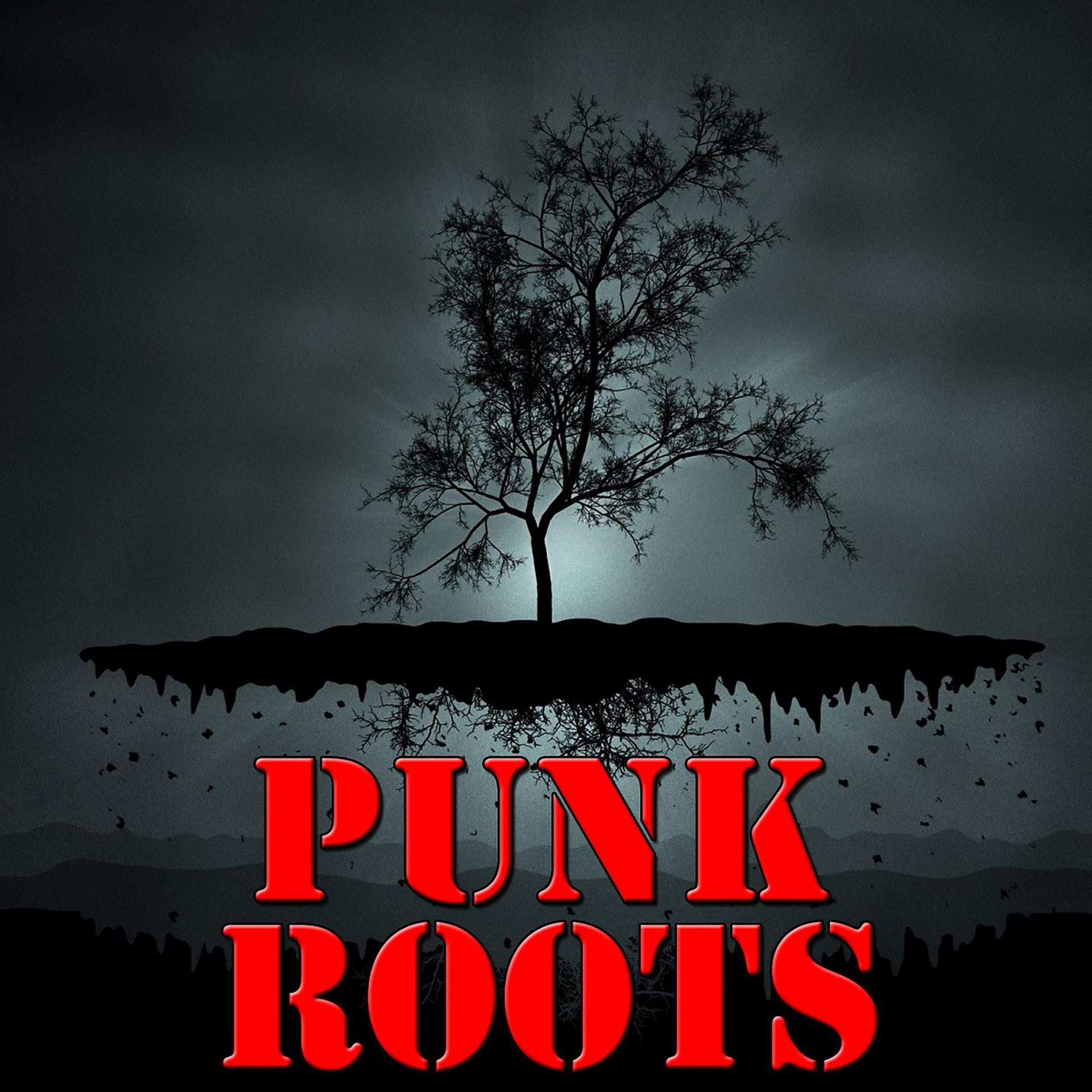Постер альбома Punk Roots, Vol.1