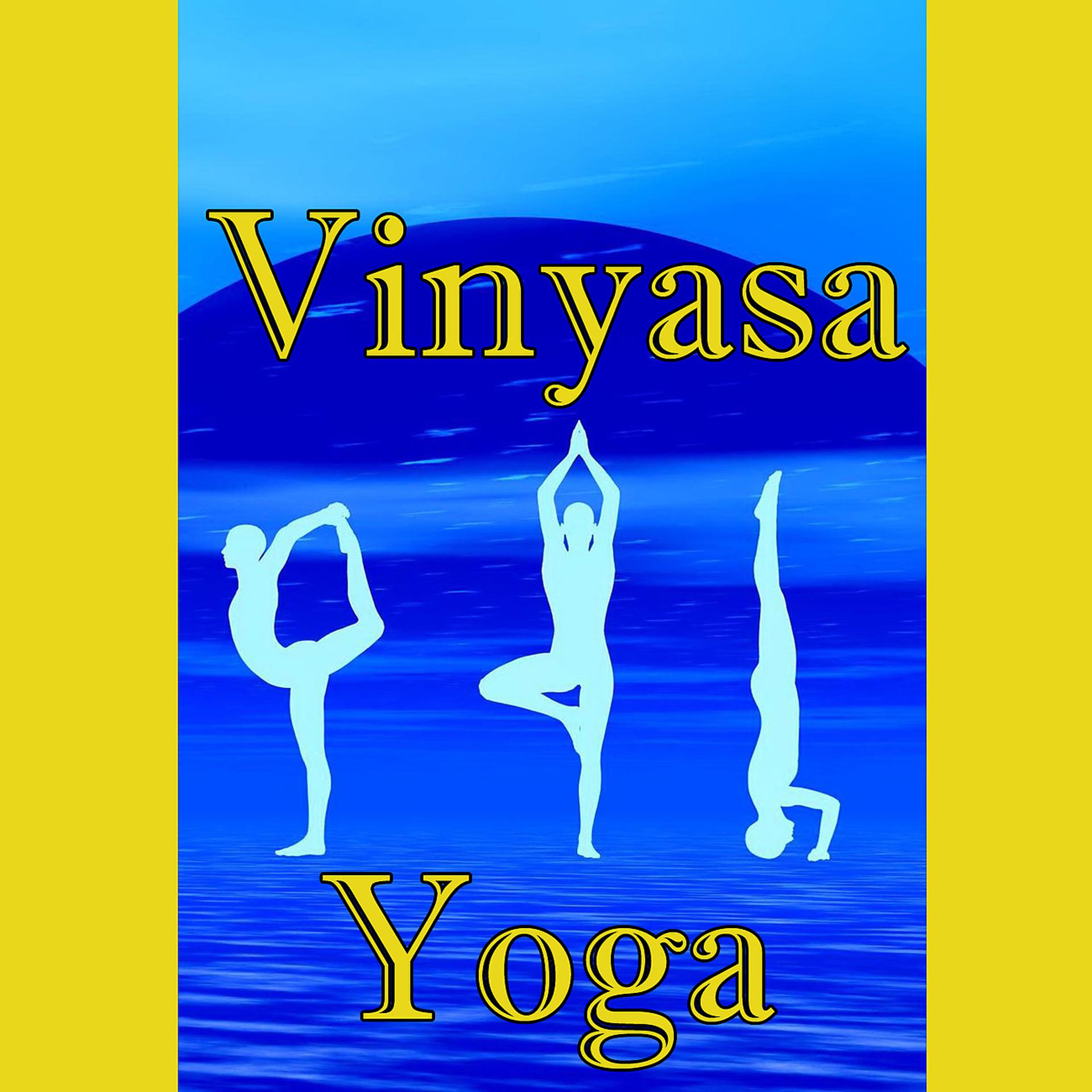 Постер альбома Vinyasa Yoga