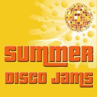 Постер альбома Summer Disco Jams