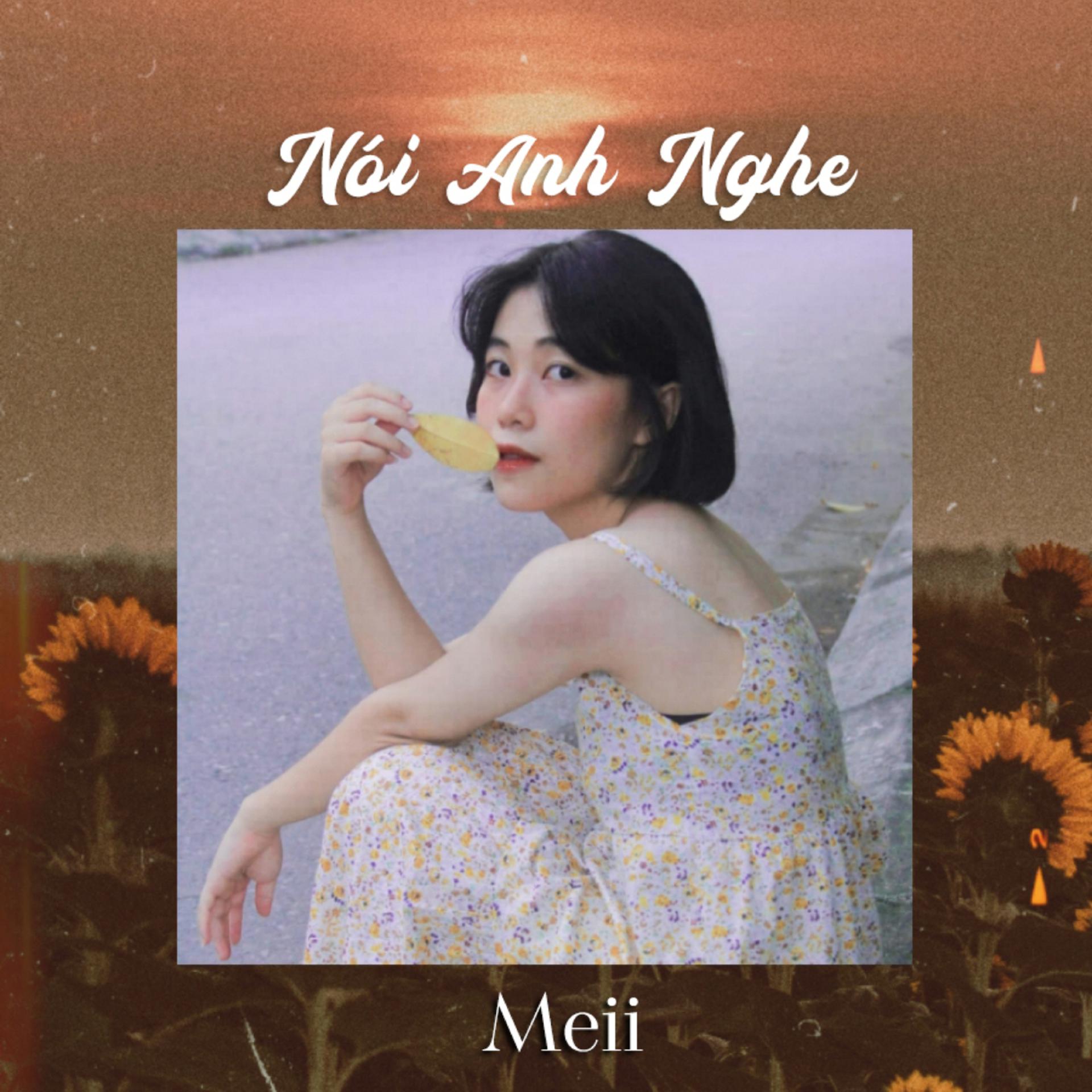 Постер альбома Nói Anh Nghe