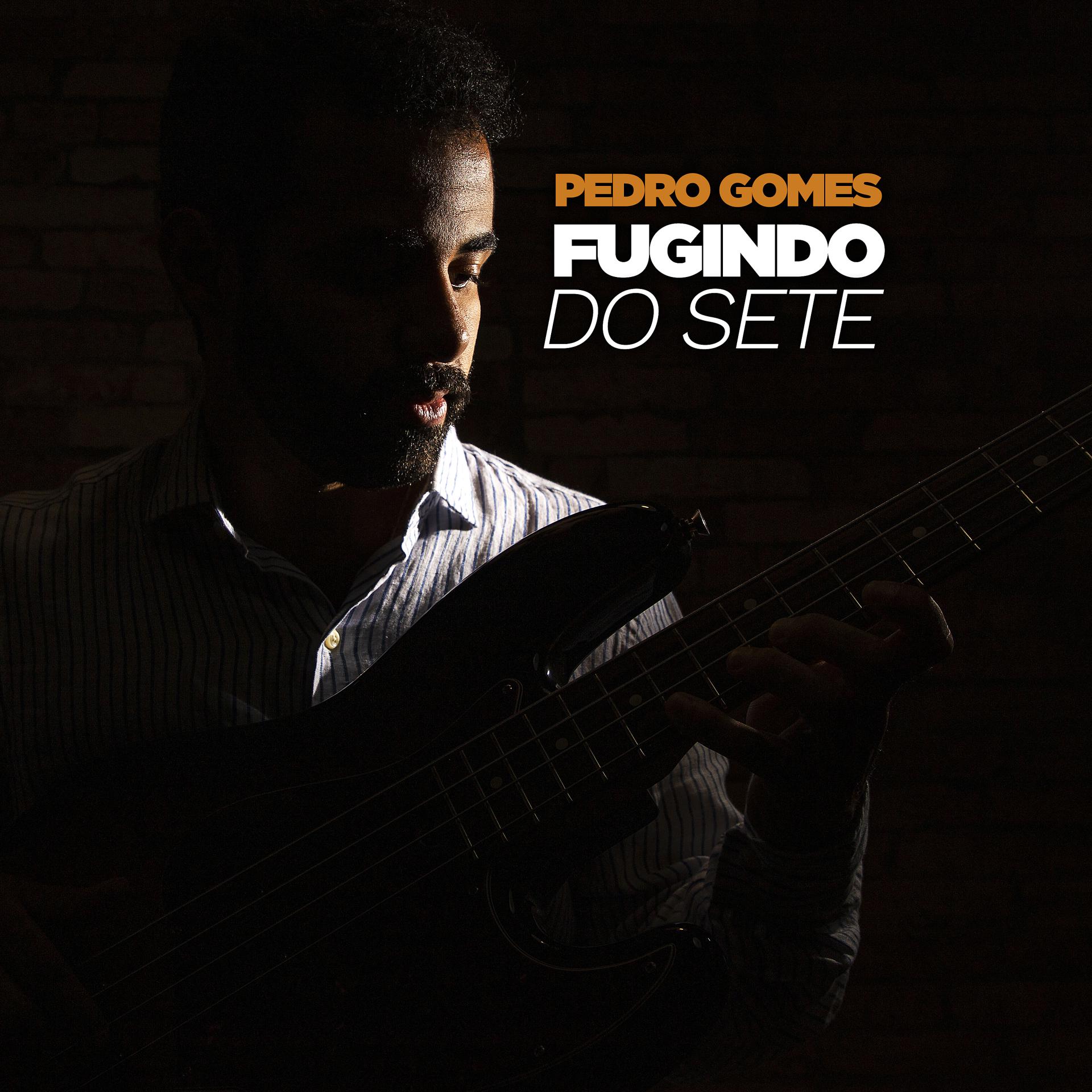 Постер альбома Fugindo do Sete