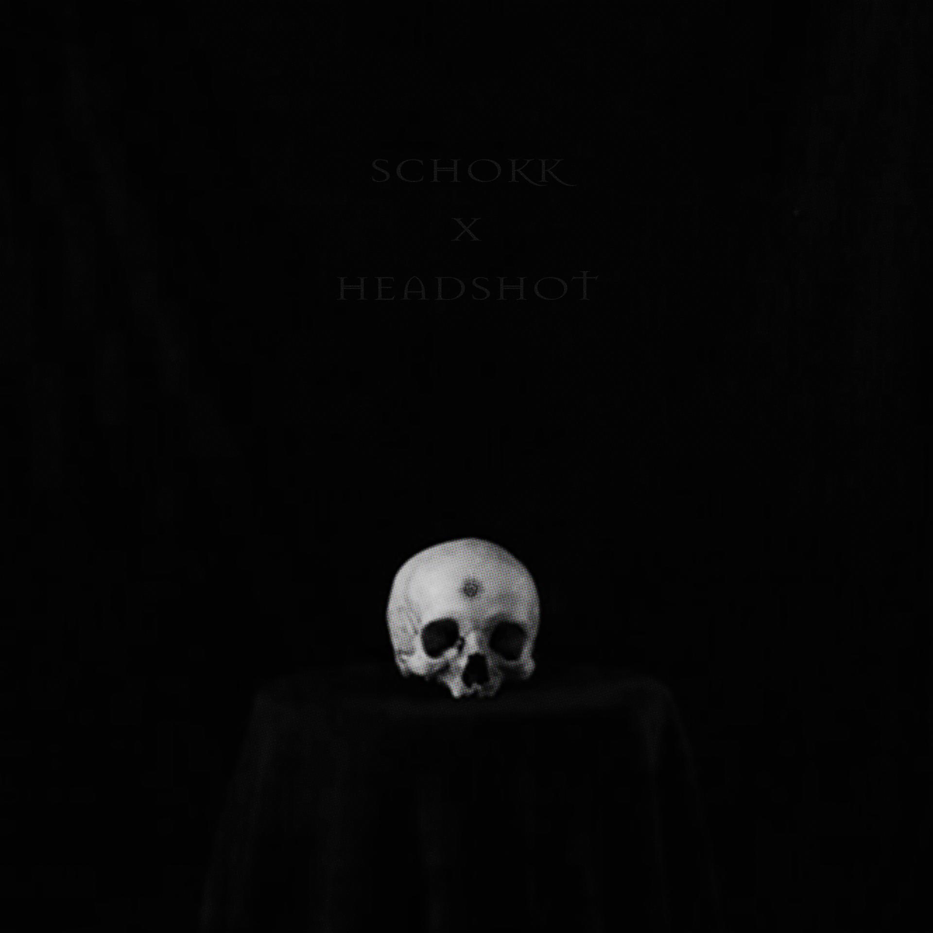 Постер альбома HEADSHOT