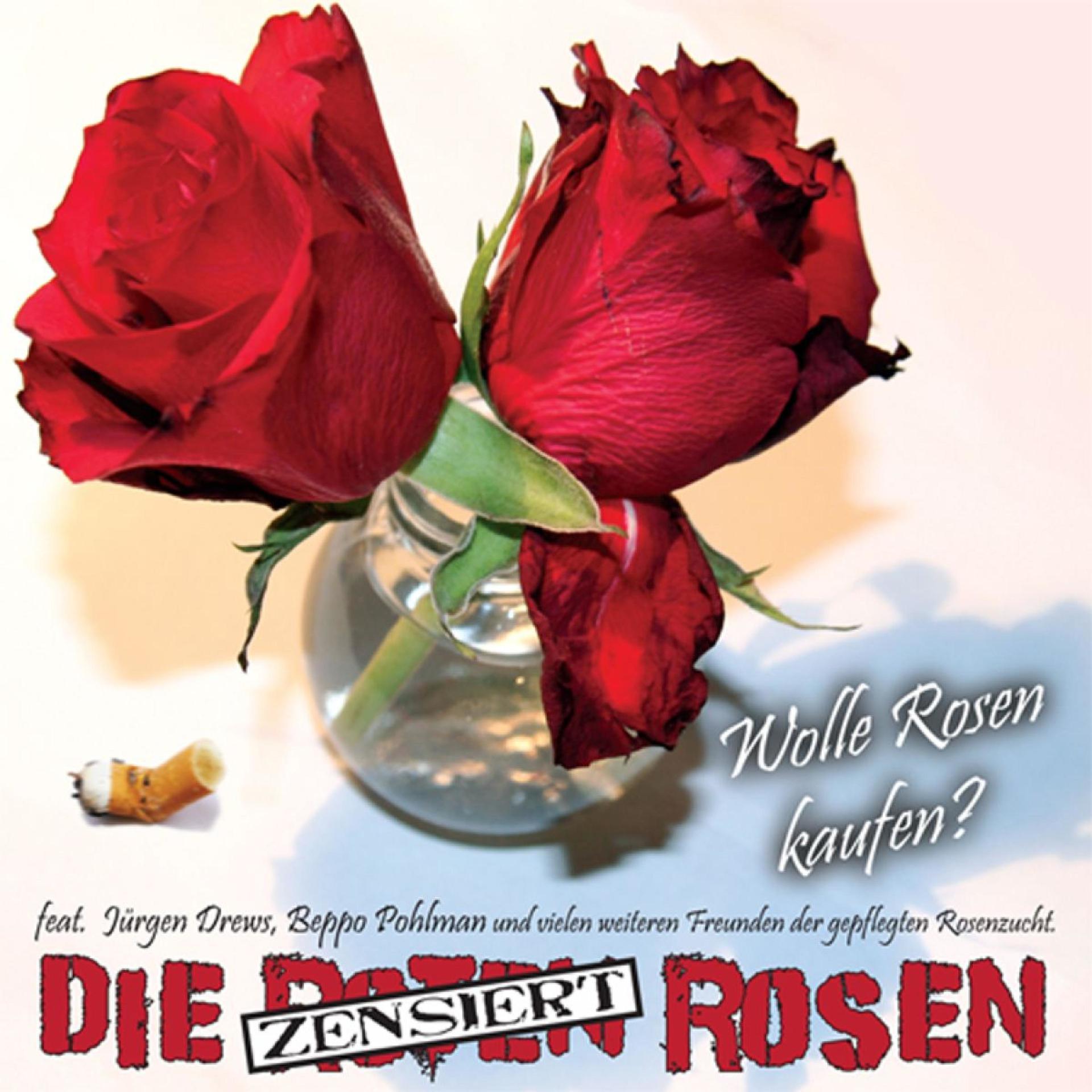 Постер альбома Wolle Rosen Kaufe?