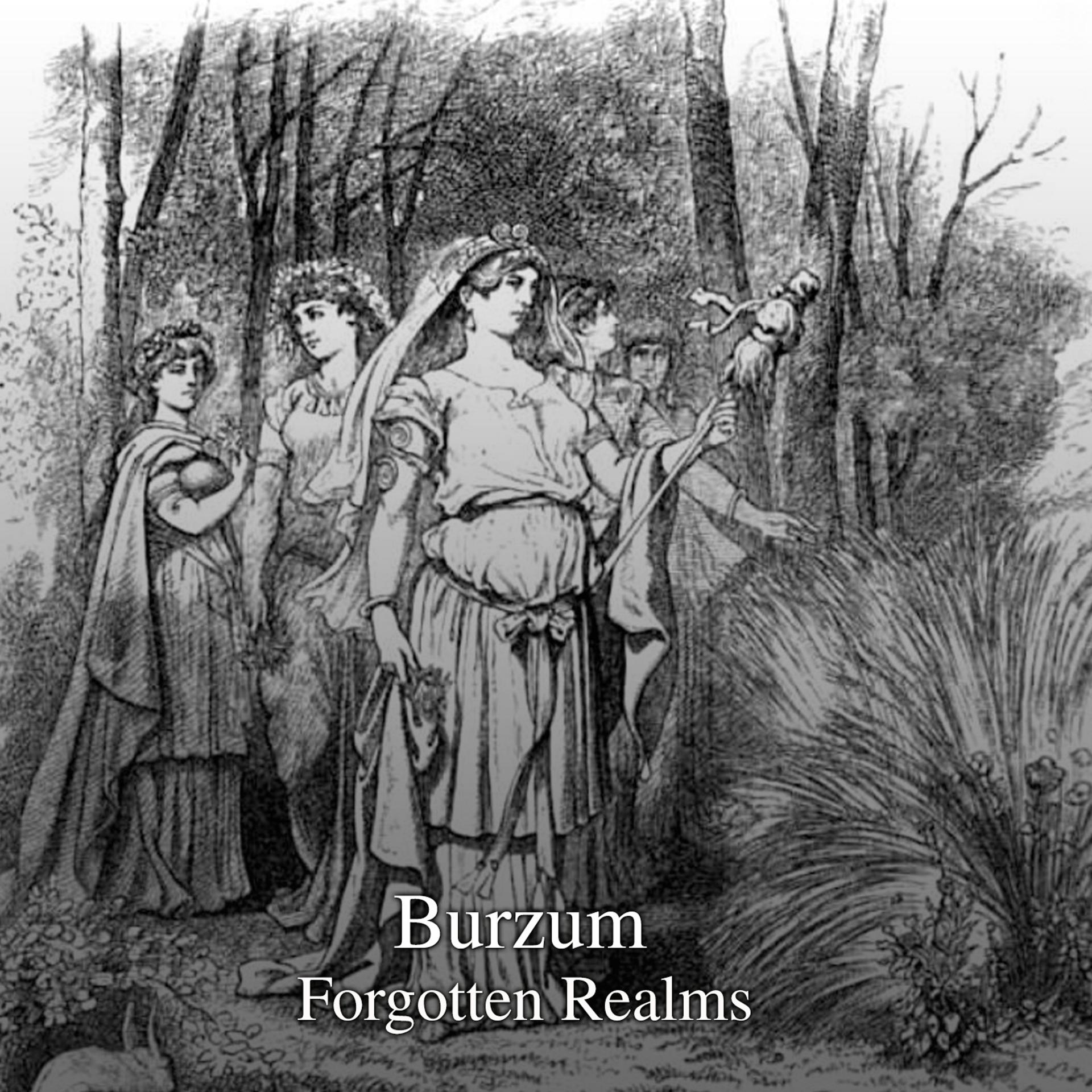 Постер альбома Forgotten Realms