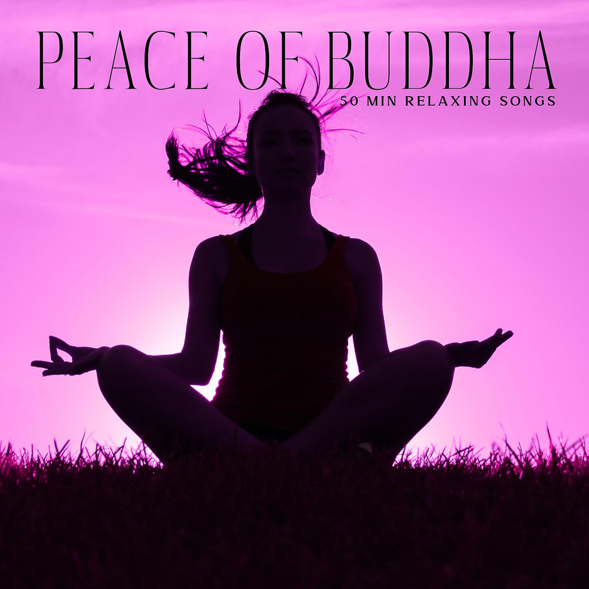 Постер альбома Peace of Buddha