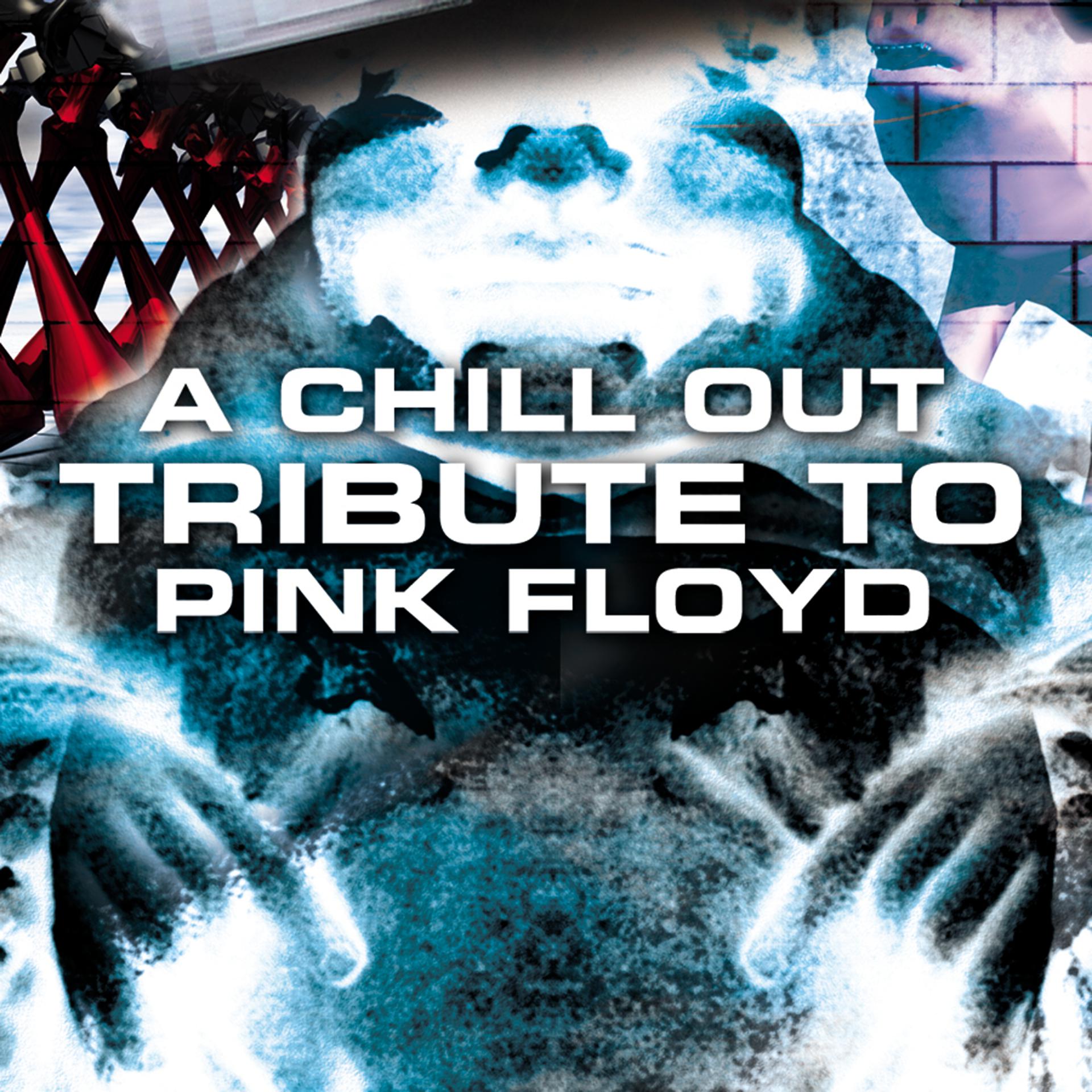 Постер альбома A Chill Out Tribute To Pink Floyd