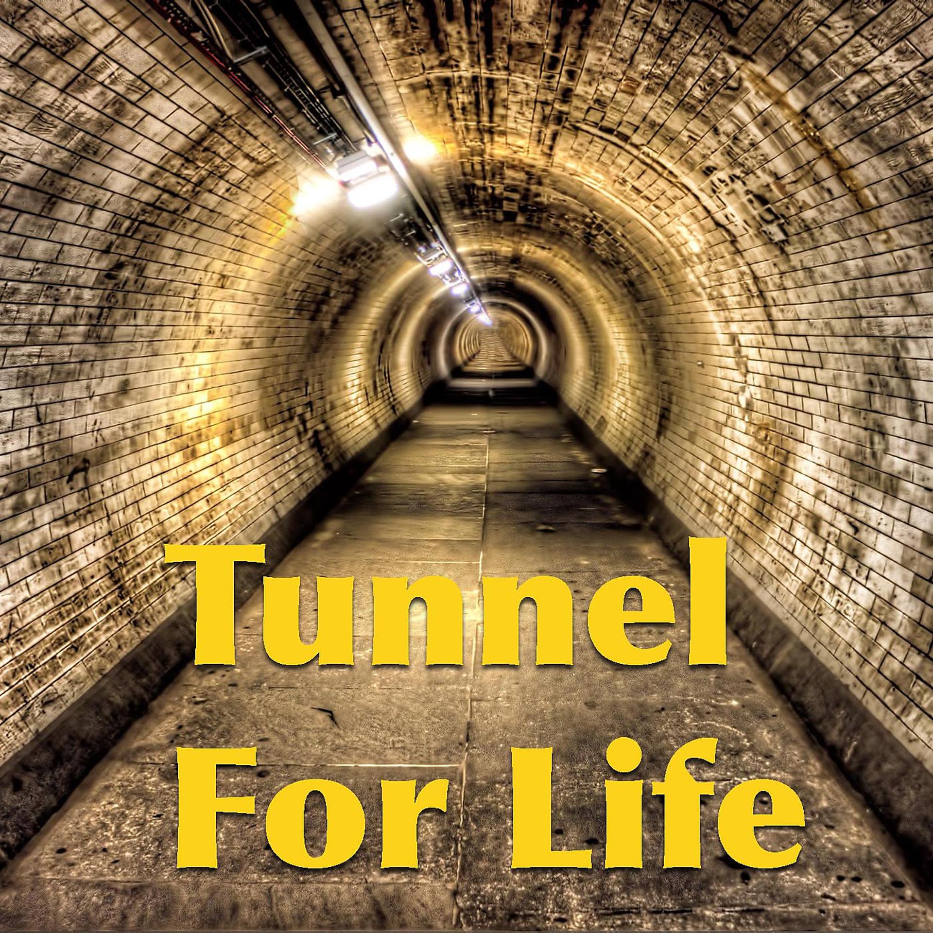 Постер альбома Tunnel For Life