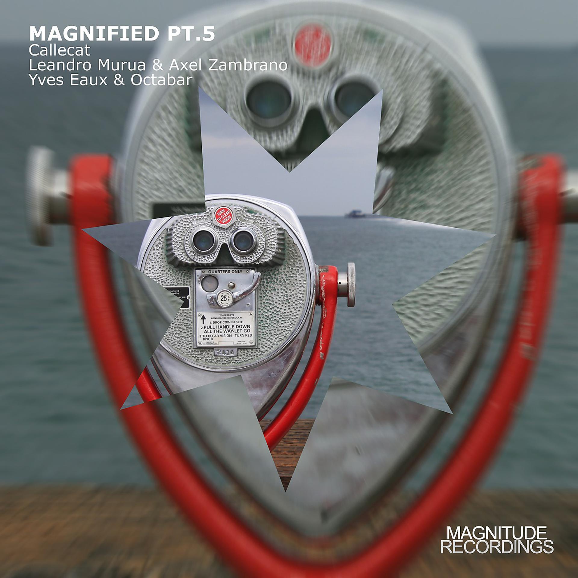 Постер альбома Magnified, Pt. 5