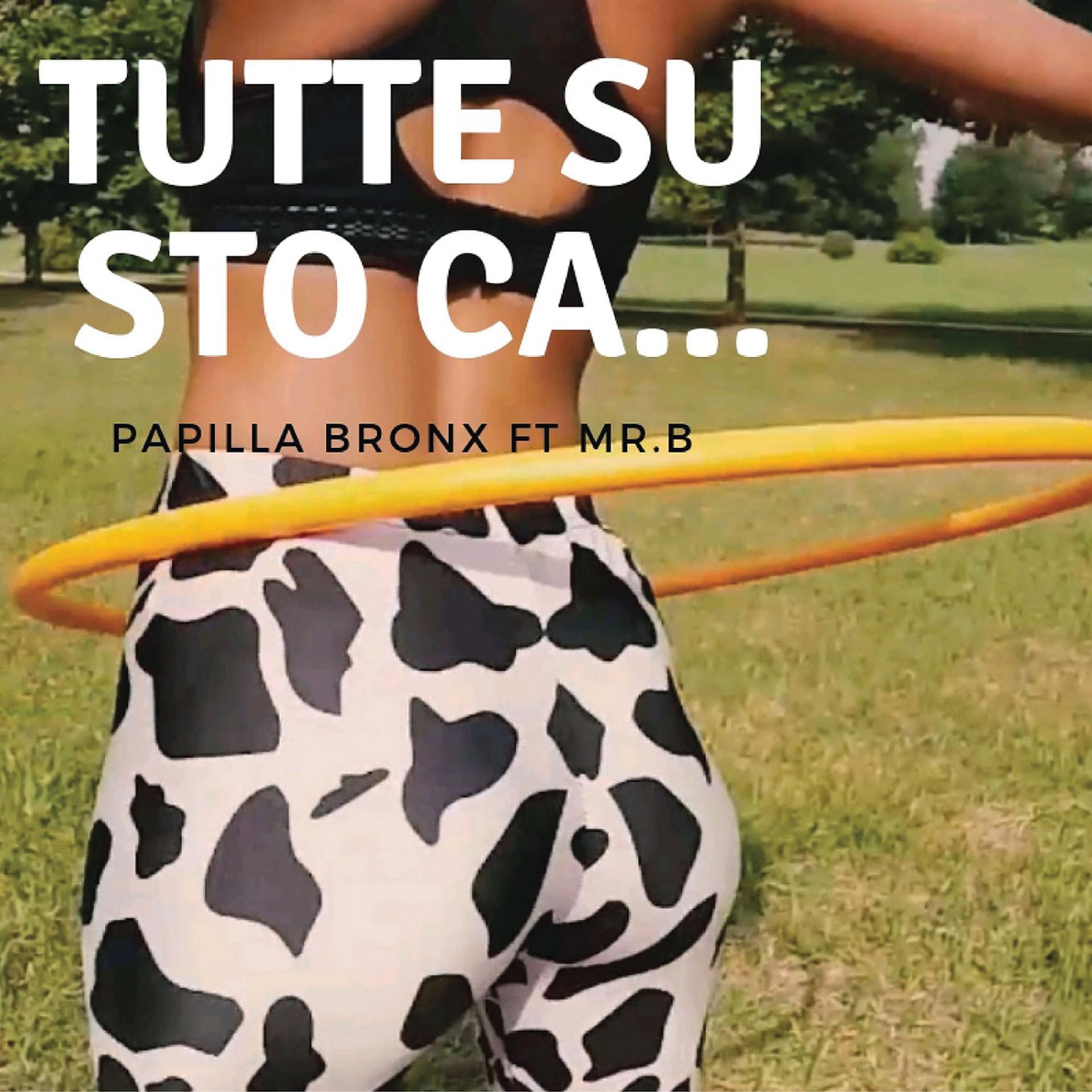 Постер альбома Tutte Su Sto Ca...