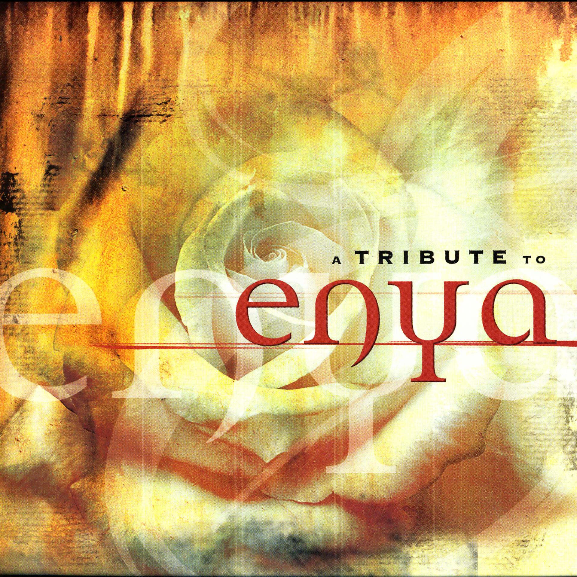 Постер альбома A Tribute To Enya