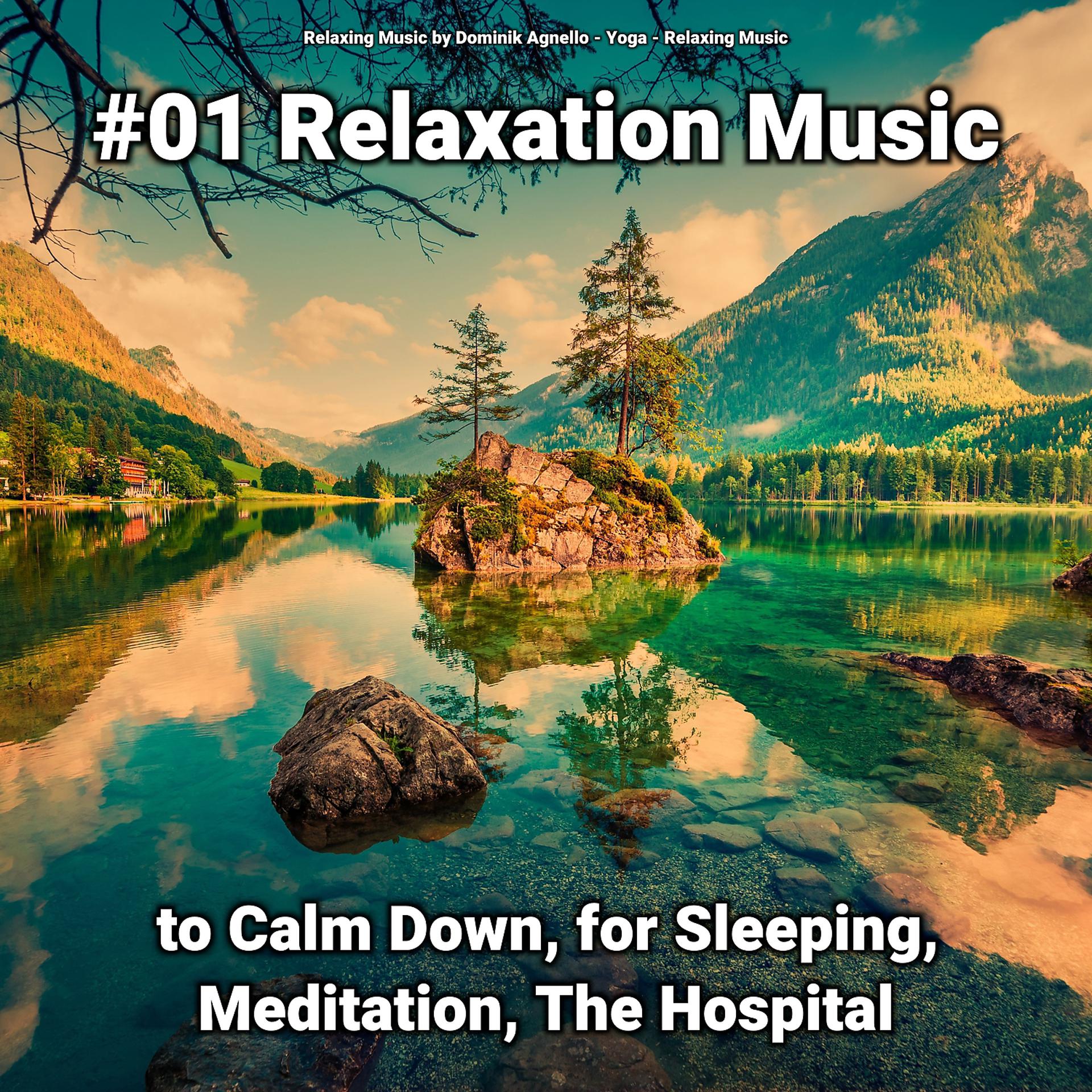 Постер альбома #01 Relaxation Music to Calm Down, for Sleeping, Meditation, The Hospital