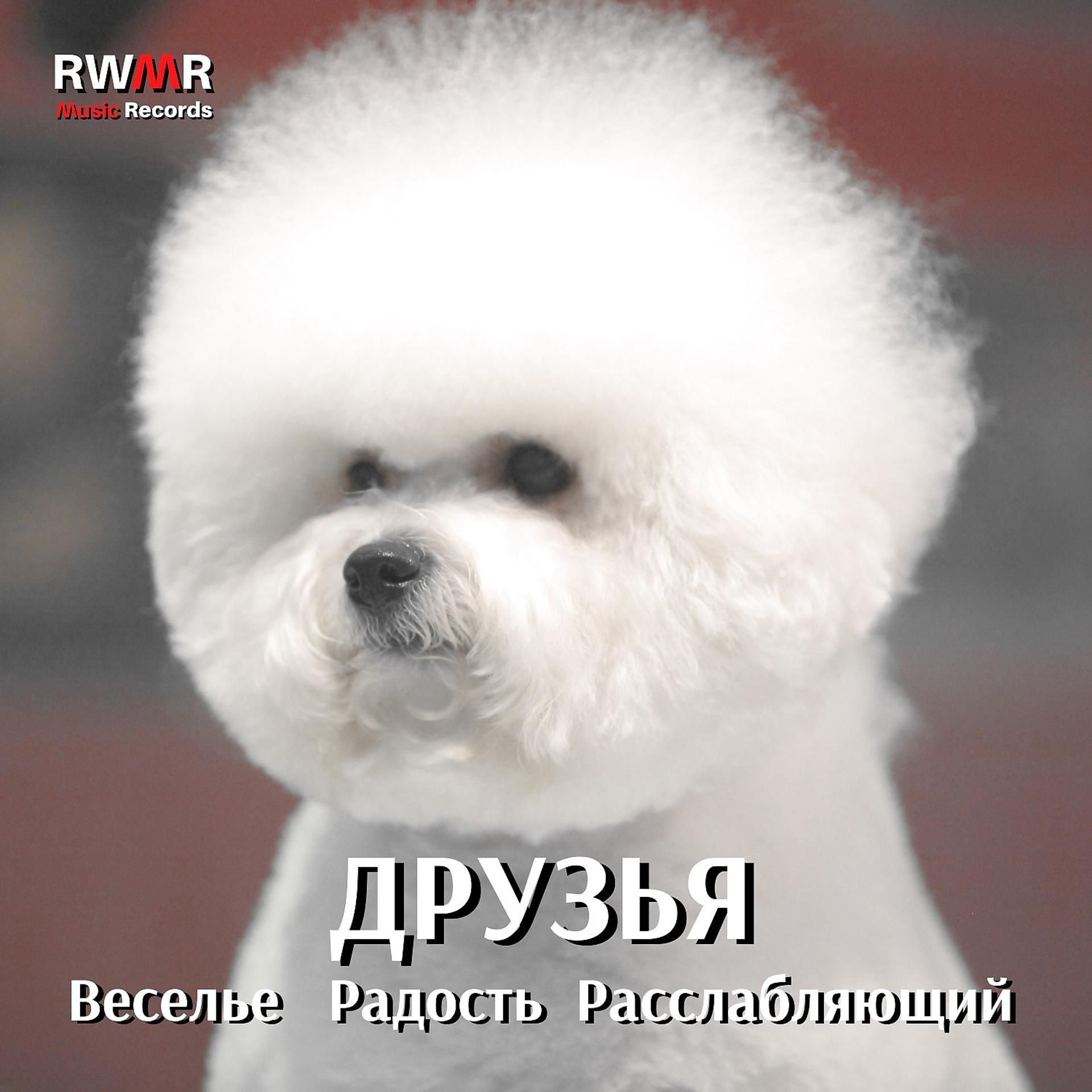 Постер альбома Друзья - Радость, веселье, релаксация, инструментальная музыка для собак, счастливый щенок, фон белый шум, песни для животных