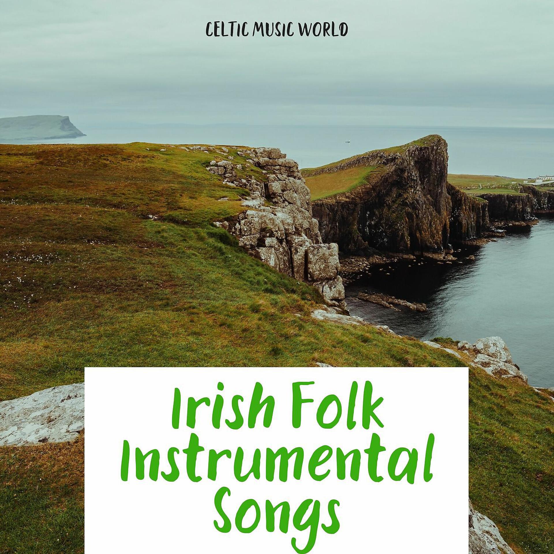 Постер альбома Irish Folk Instrumental Songs