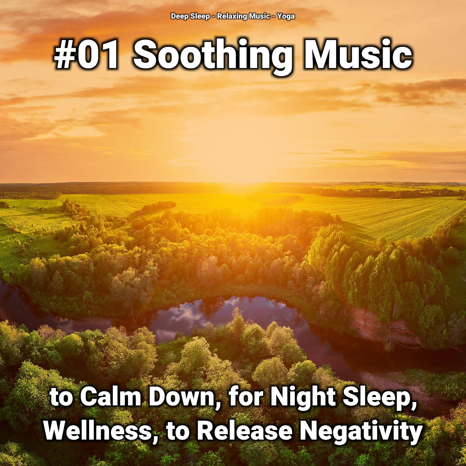 Постер альбома #01 Soothing Music to Calm Down, for Night Sleep, Wellness, to Release Negativity