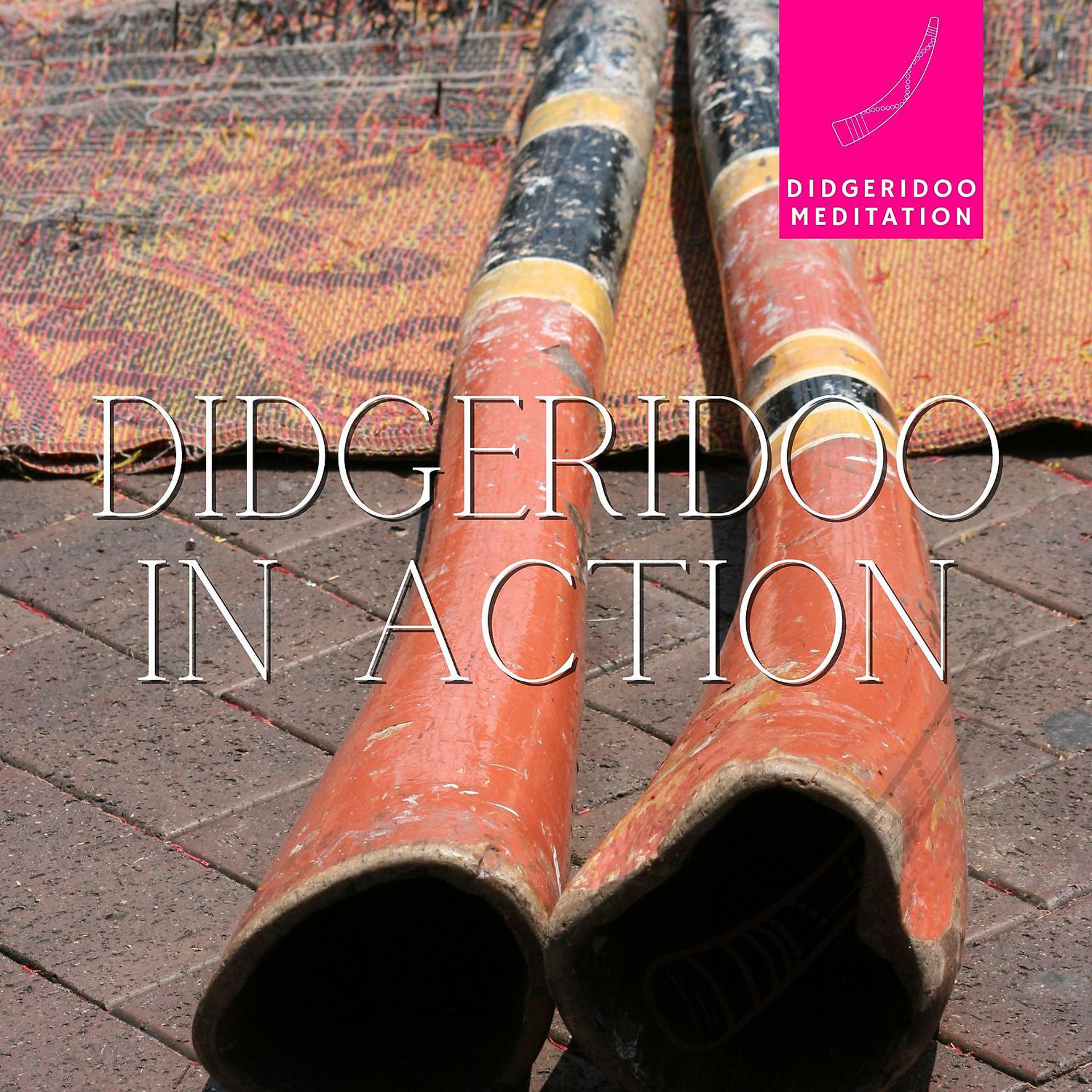 Постер альбома Didgeridoo in Action