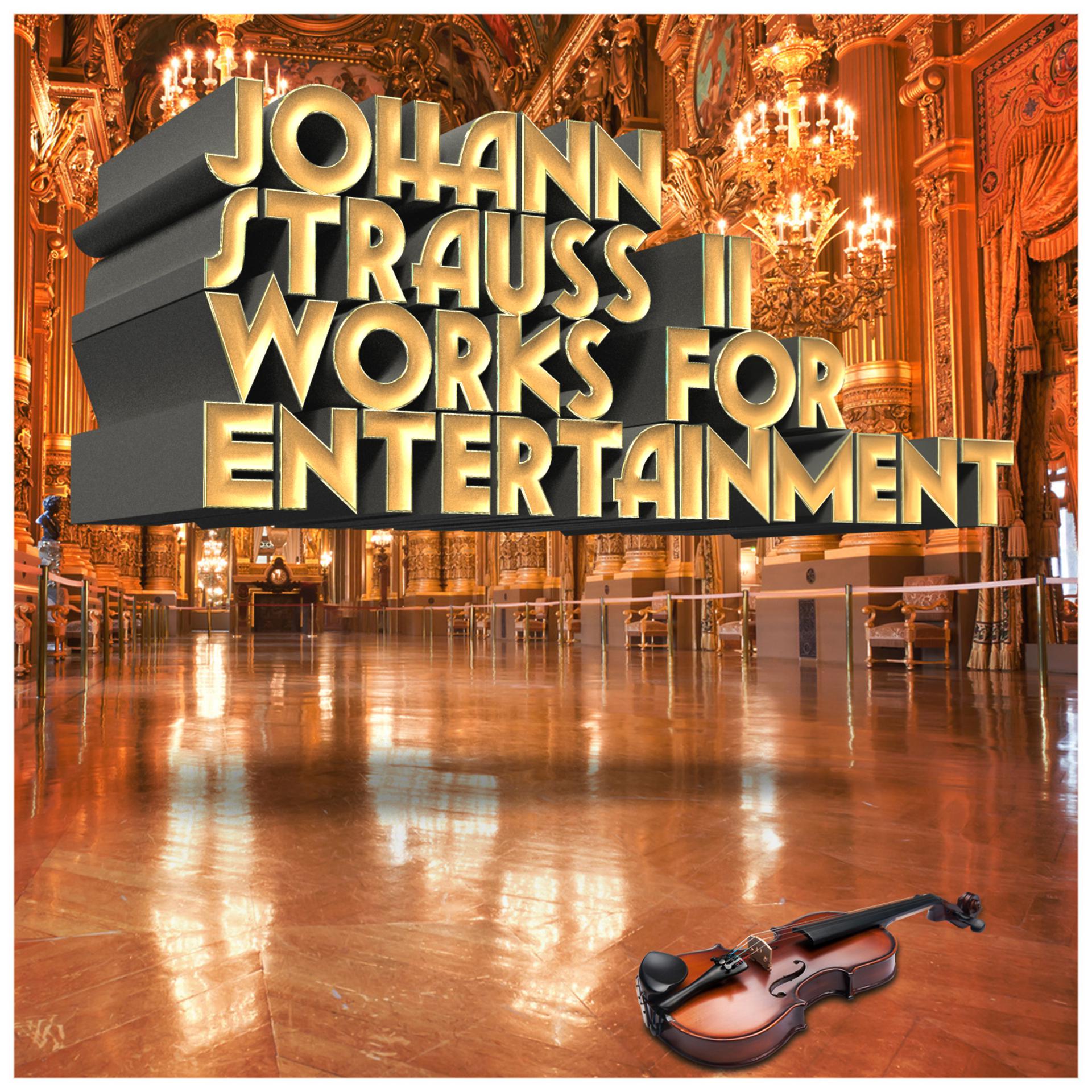Постер альбома Johann Strauss II: Works for Entertainment