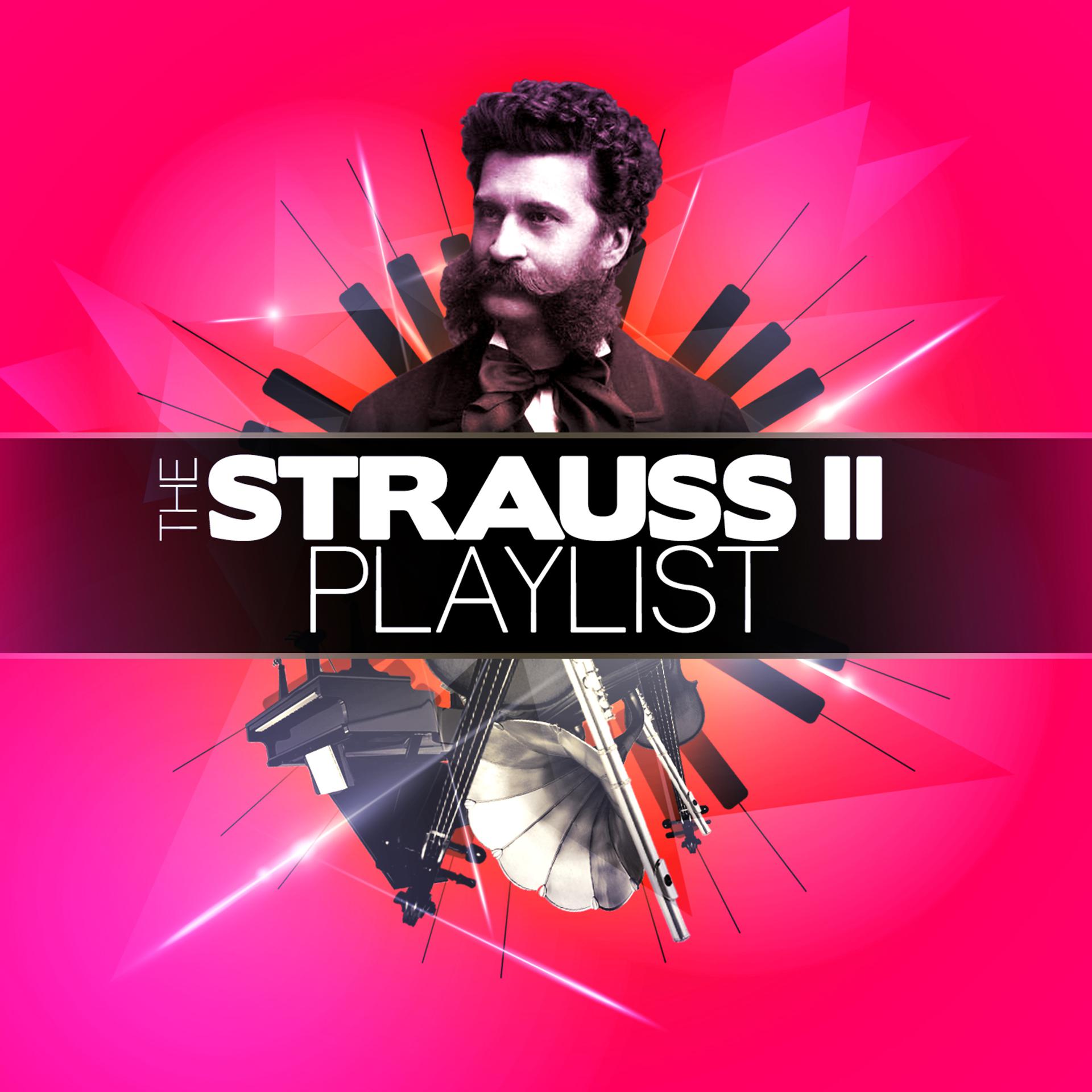 Постер альбома The Strauss II Playlist
