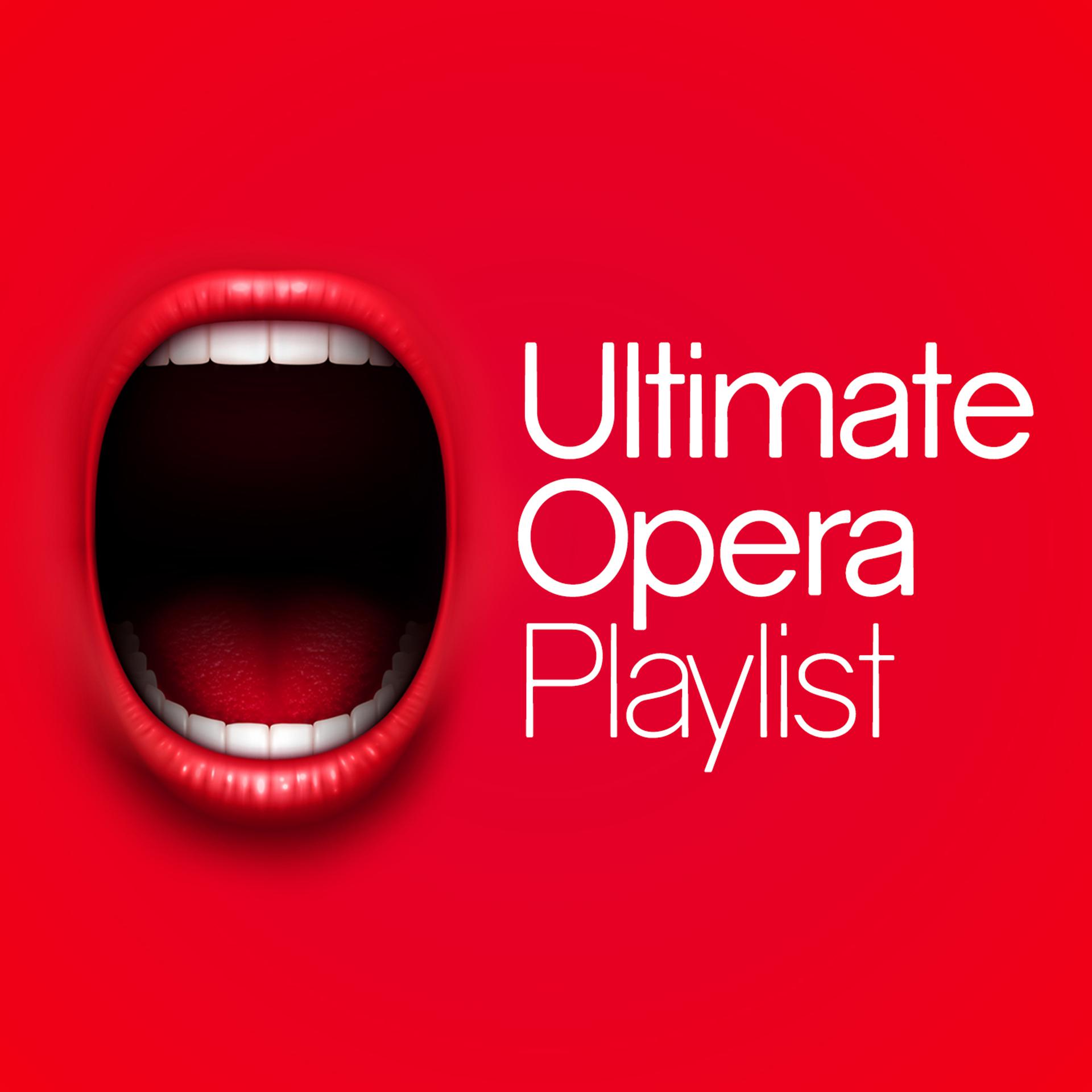 Постер альбома Ultimate Opera Playlist
