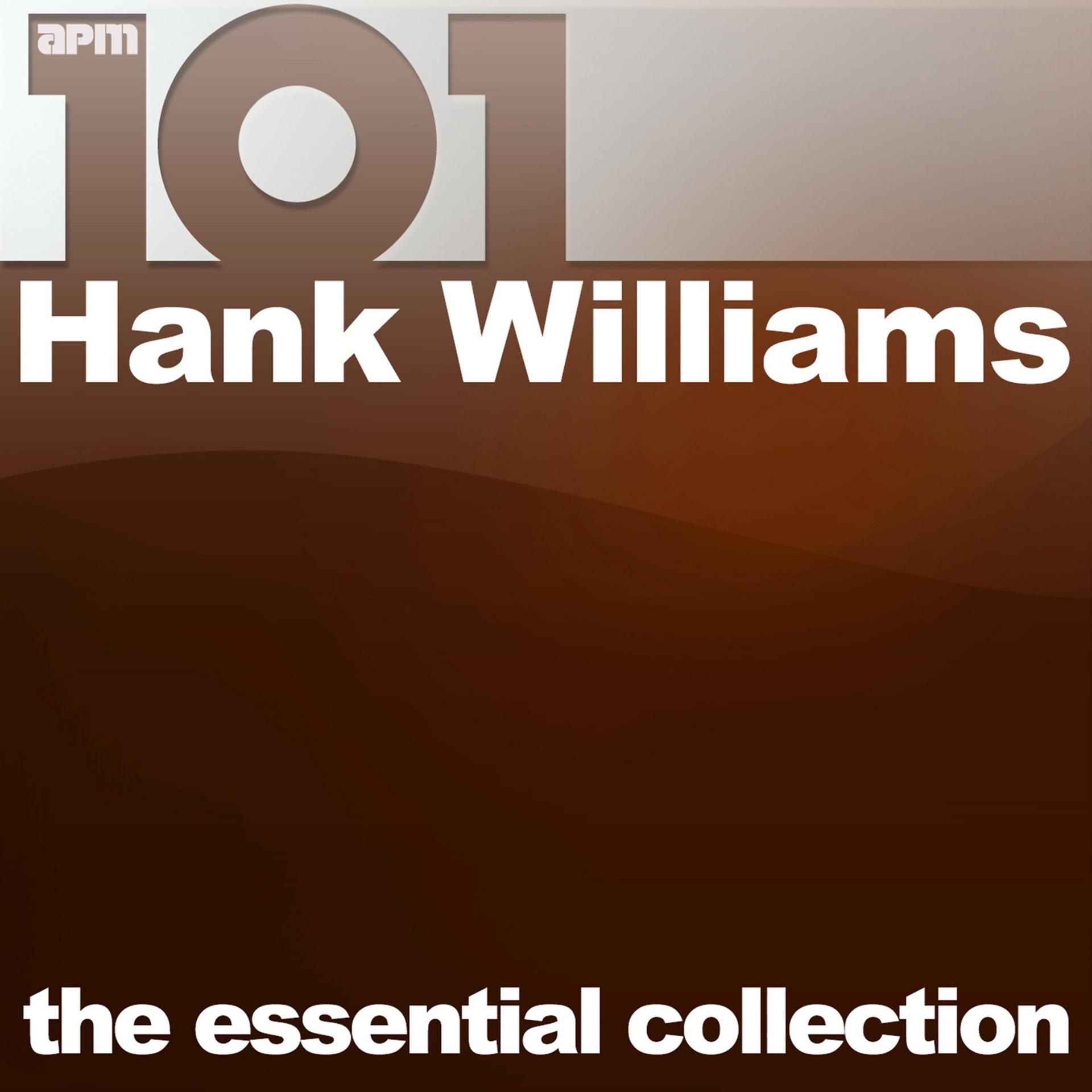 Постер альбома 101 - The Essential Collection