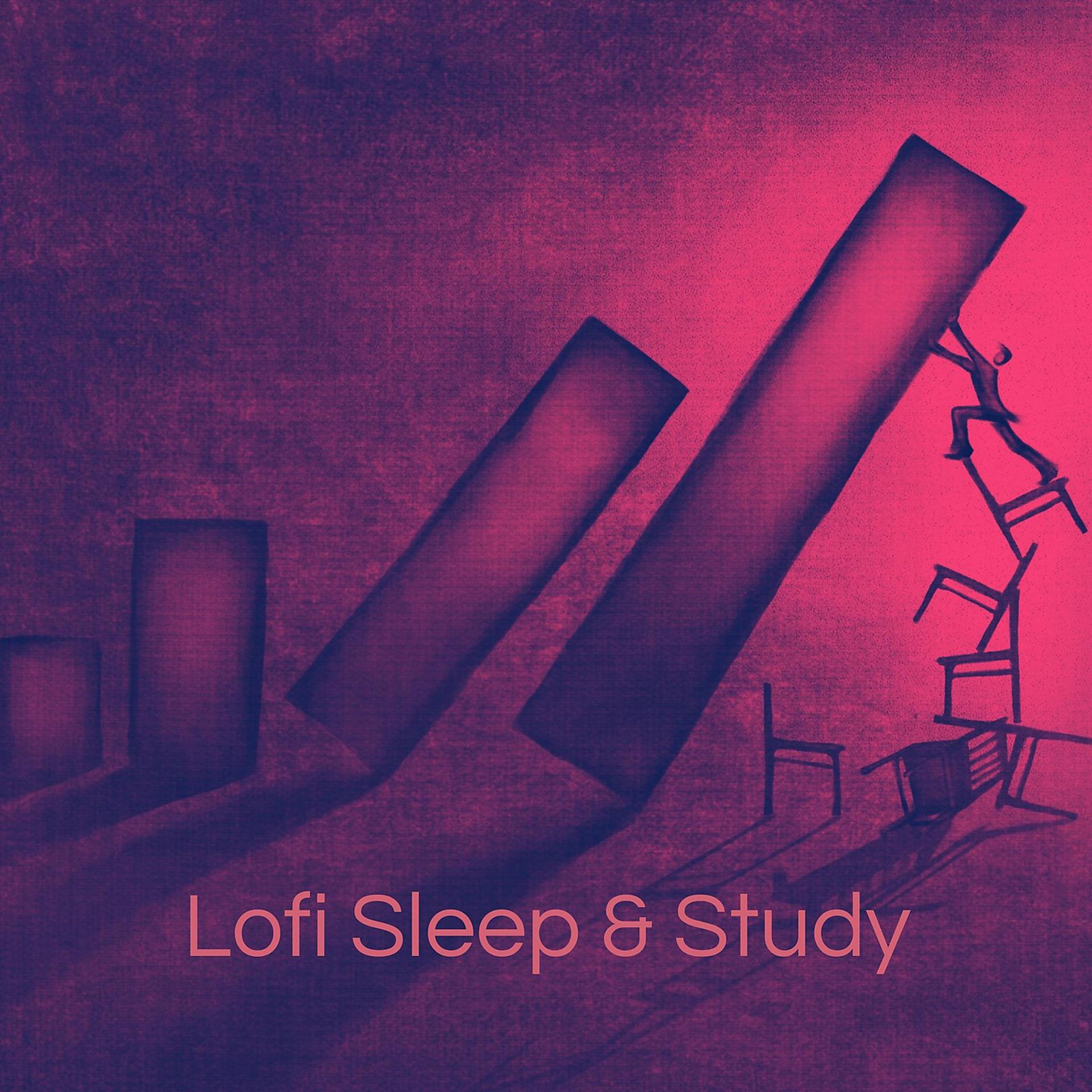 Постер альбома Lofi Sleep & Study