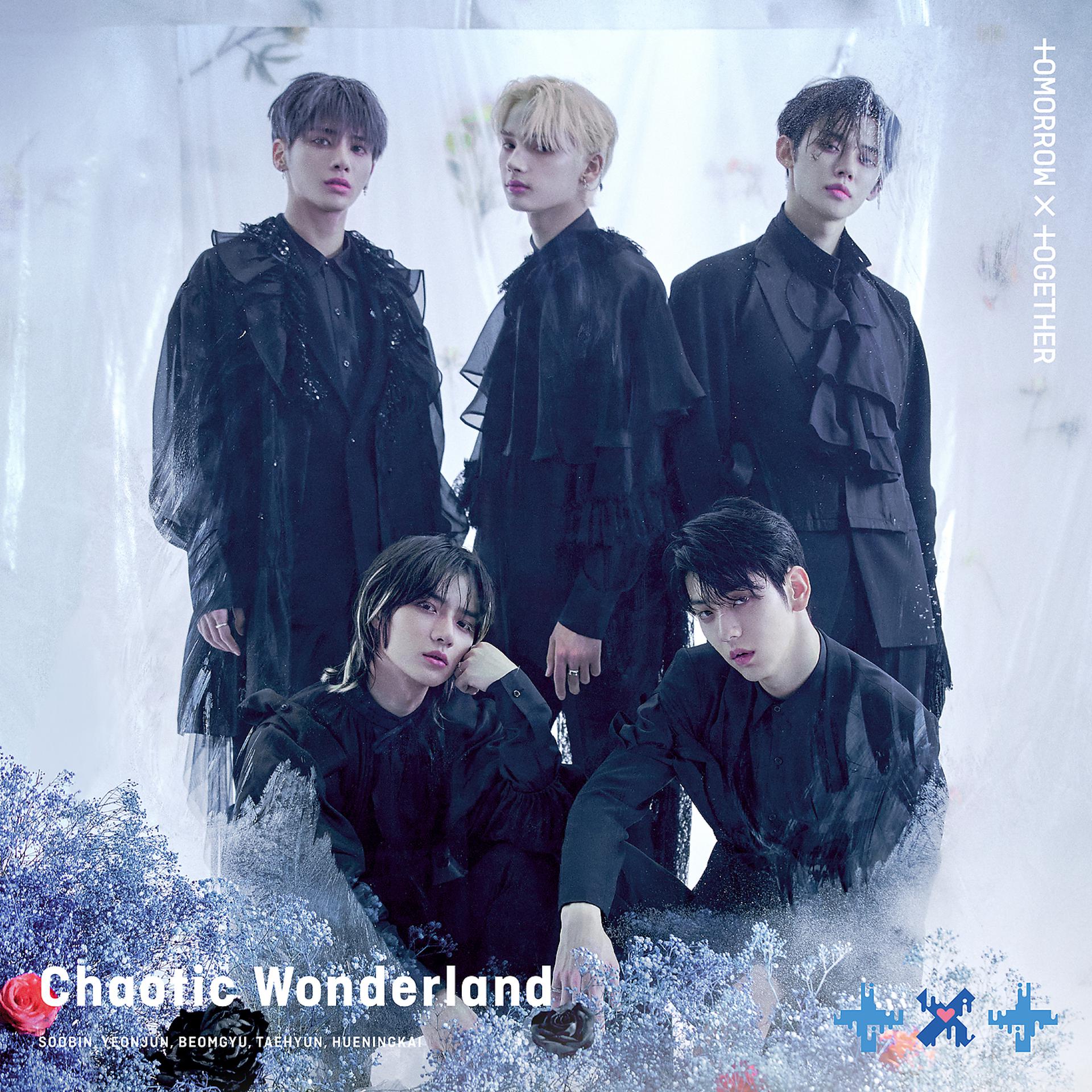 Постер альбома Chaotic Wonderland