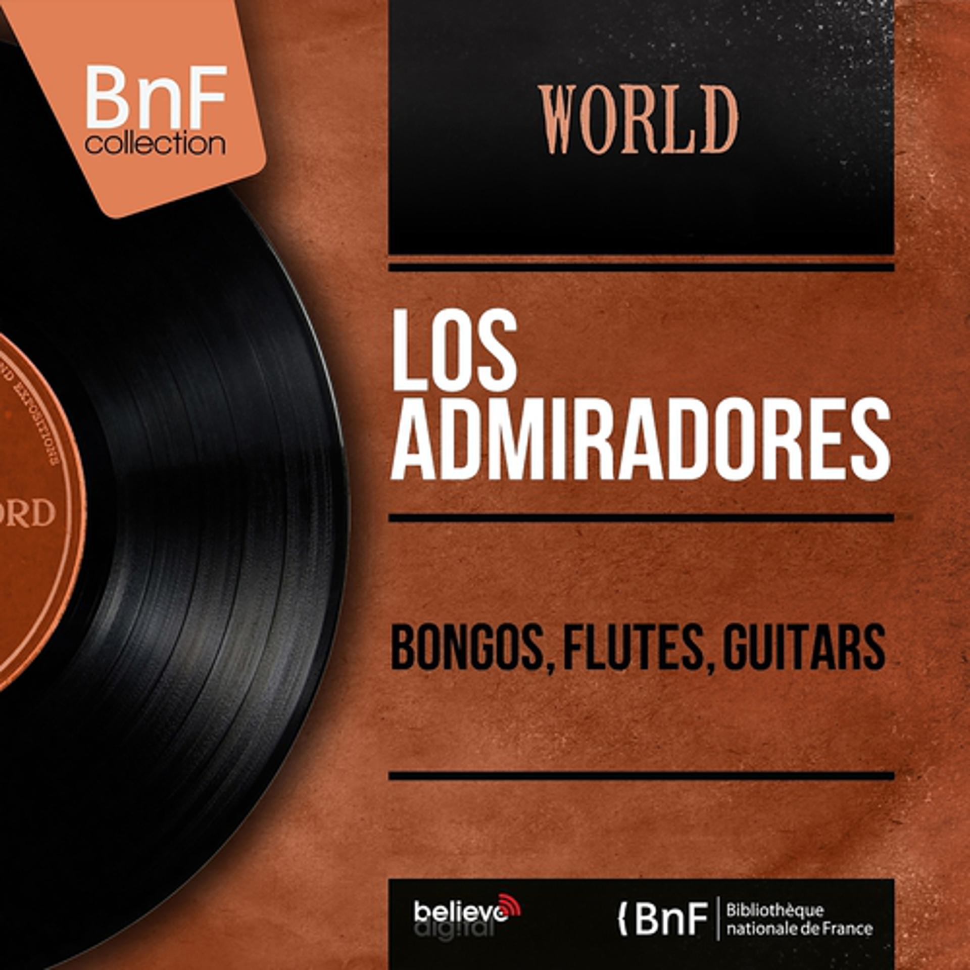 Постер альбома Bongos, Flutes, Guitars (Mono Version)
