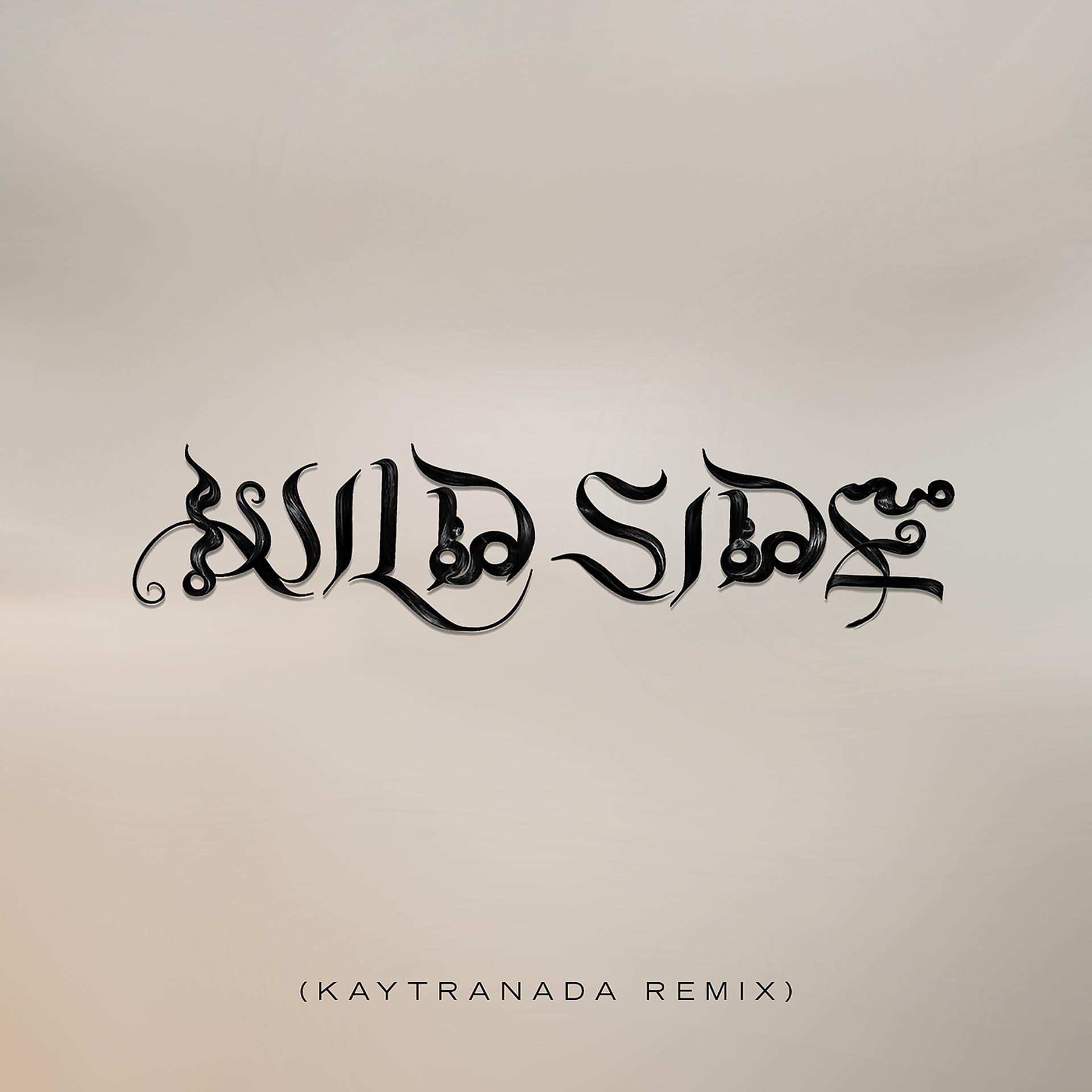 Постер альбома Wild Side (KAYTRANADA Remix)