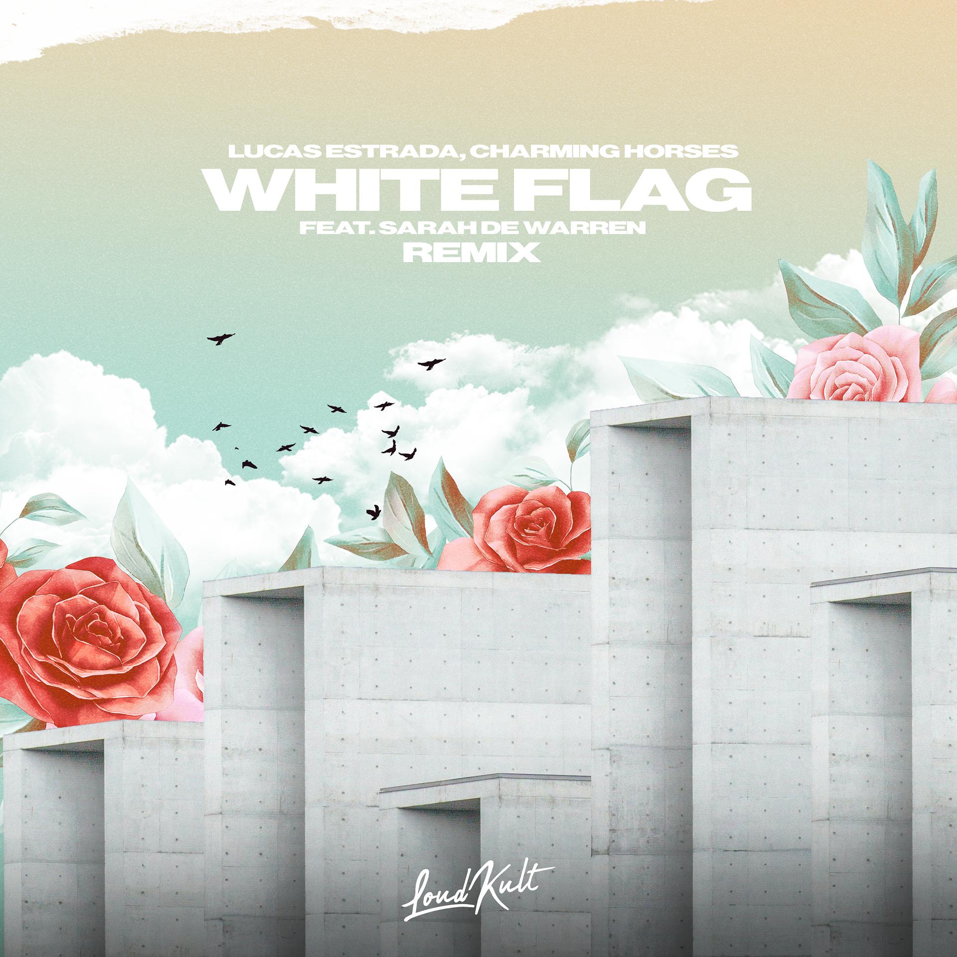 Постер альбома White Flag (nowifi Remix)