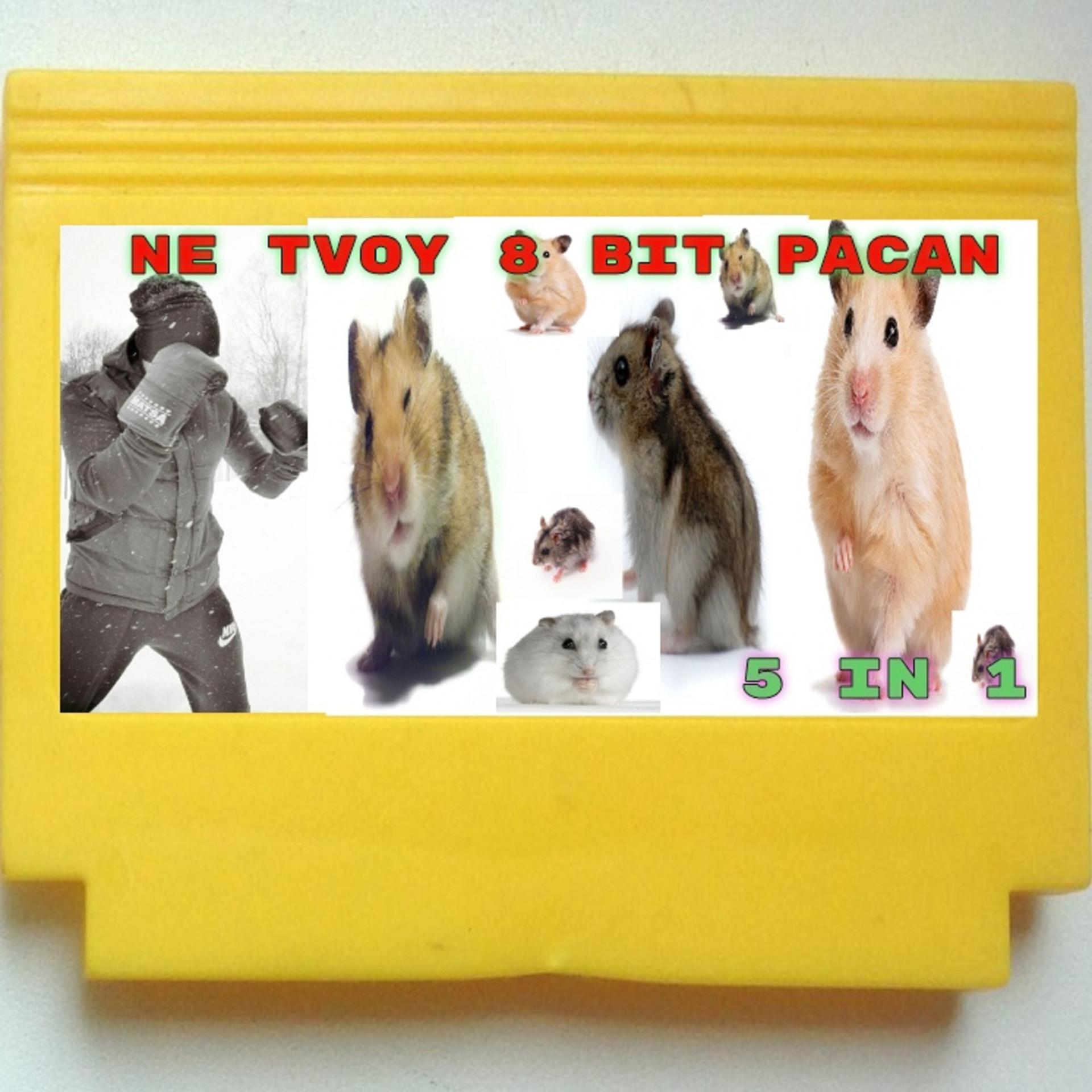 Постер альбома 8 Bit Pacan