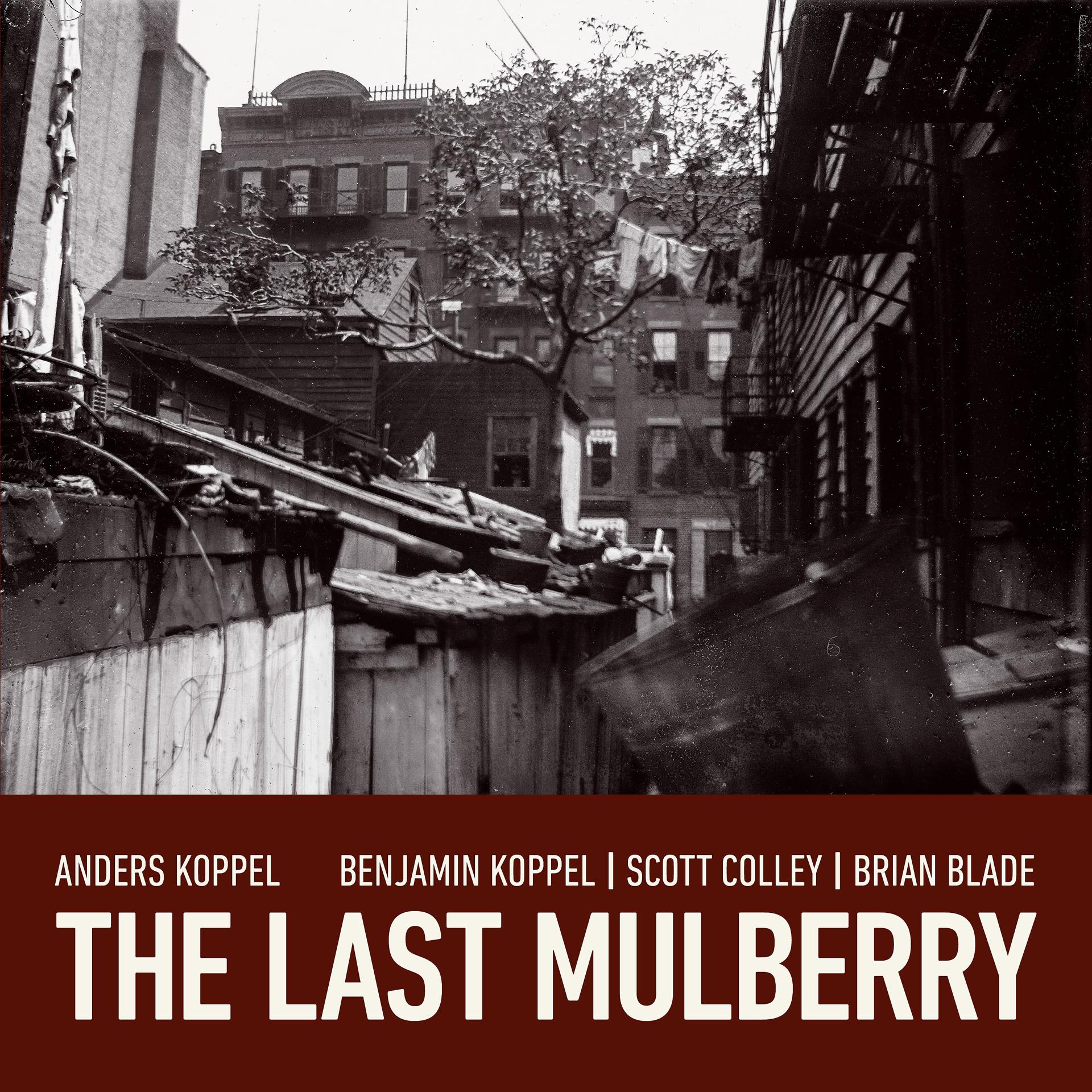 Постер альбома The Last Mulberry
